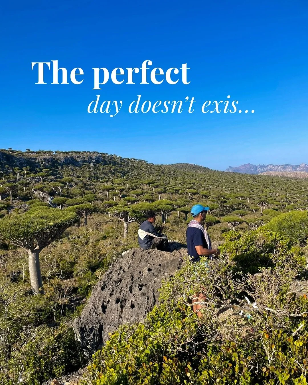 The perfect day doesn&rsquo;t exist&hellip; until you find yourself here.

Experience Socotra, designed around you.

Ready to create your perfect day? ✨
Enquire now to reserve your trip.

.
.
#luxurytravel #luxuryescapes #exclusivegetaway #tailormade