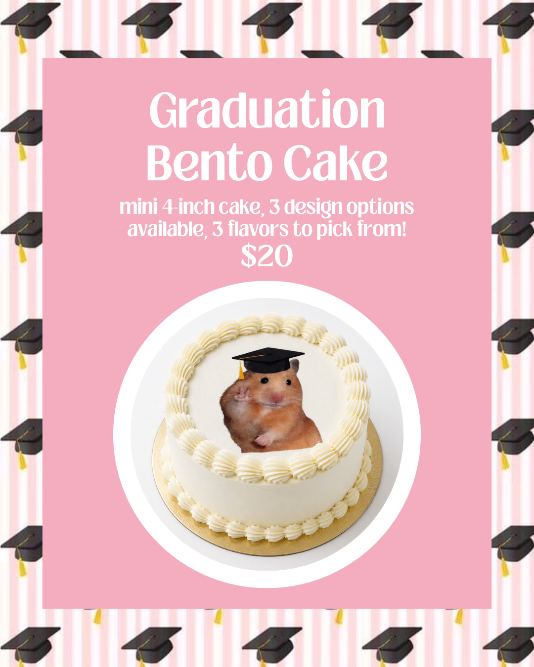 Graduation Bento Cake