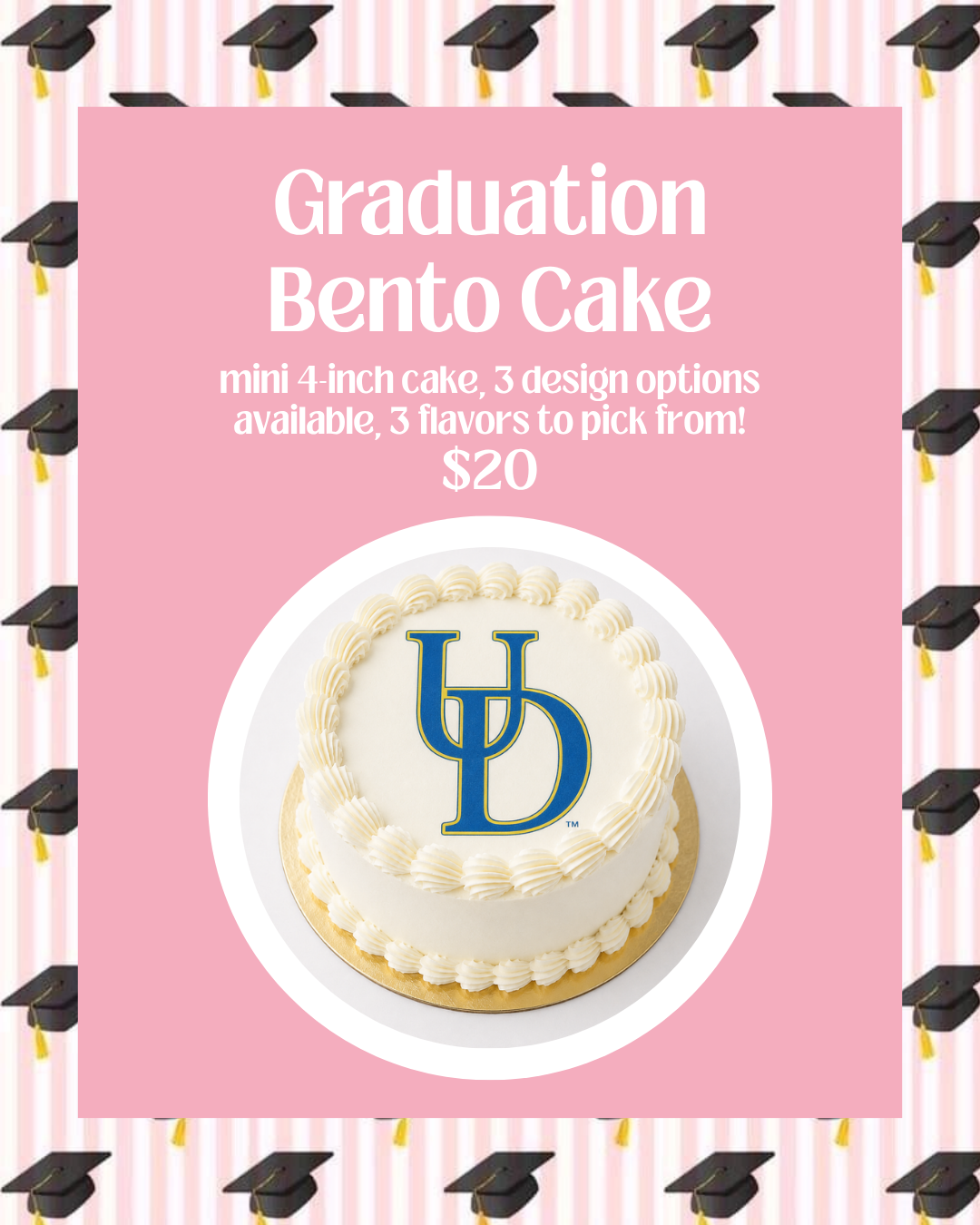 Graduation Bento Cake