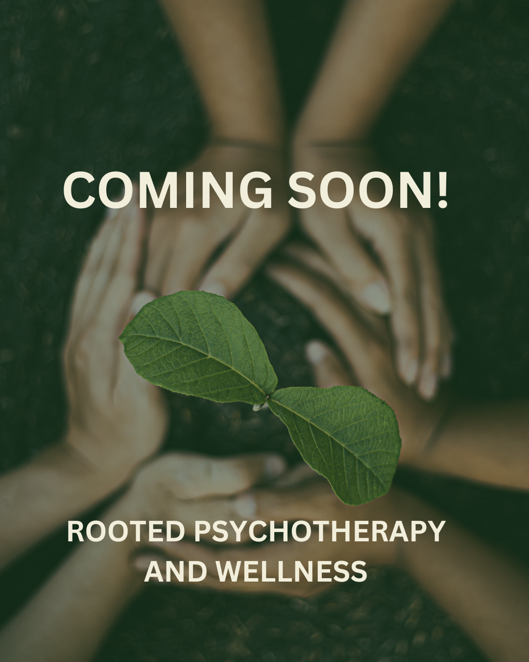 Item Coming Soon!