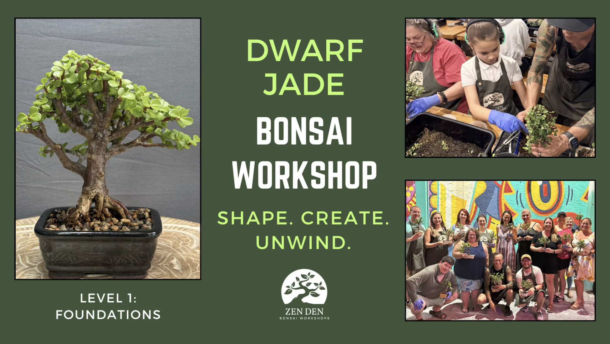 Dwarf Jade Bonsai Workshop
