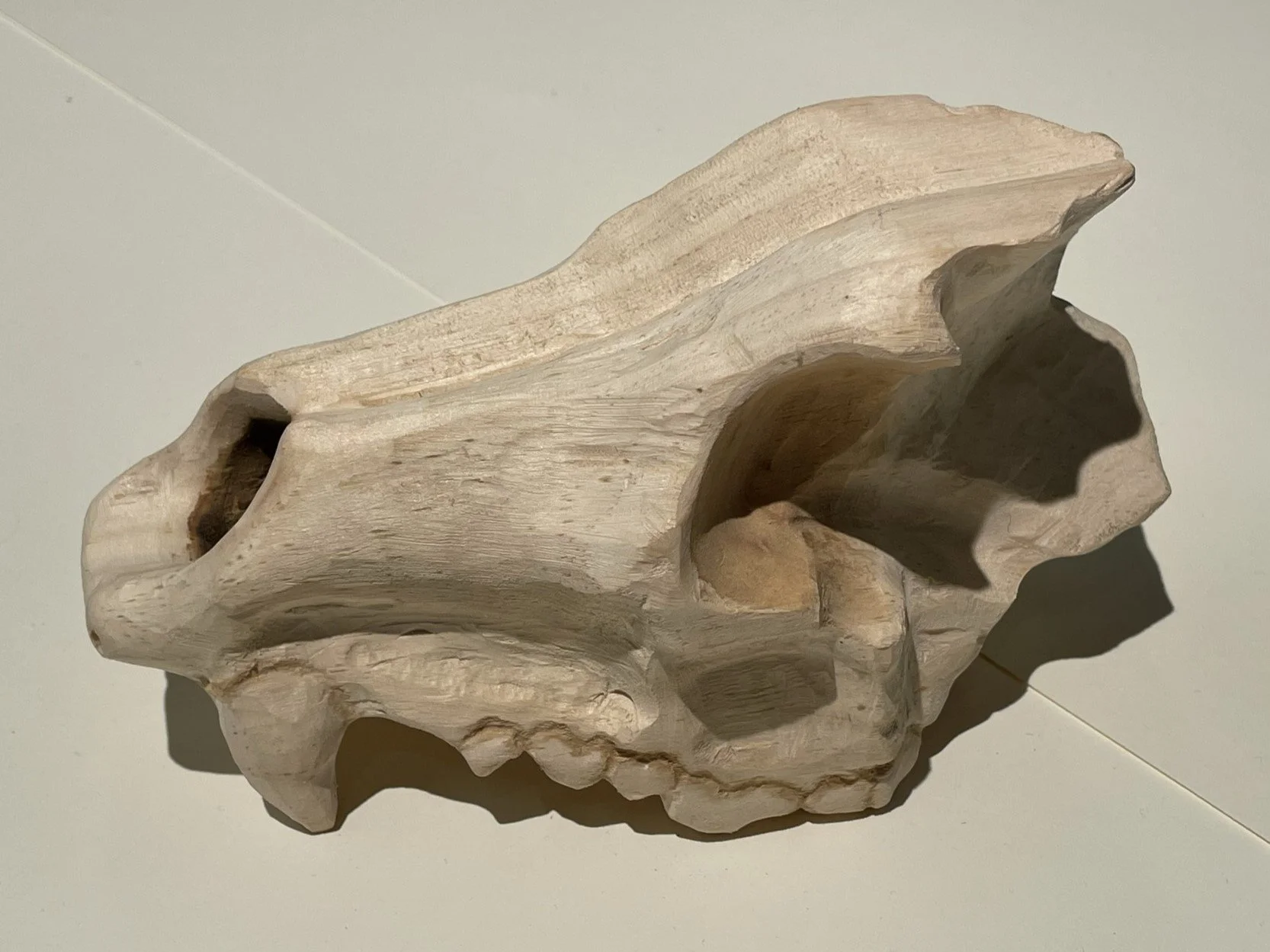 Broken Coyote Skull, White Pine, Coffee Stain, Burning, 4" x 7" x 3.5", 2022