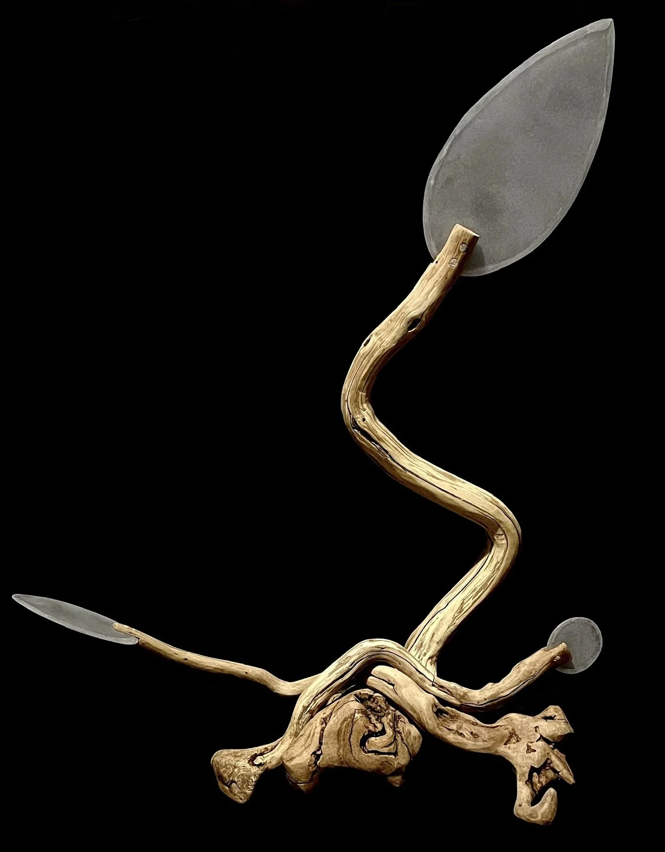 Growth, Laurel Wood, Lexan, 32" x 26" x 17", 2022