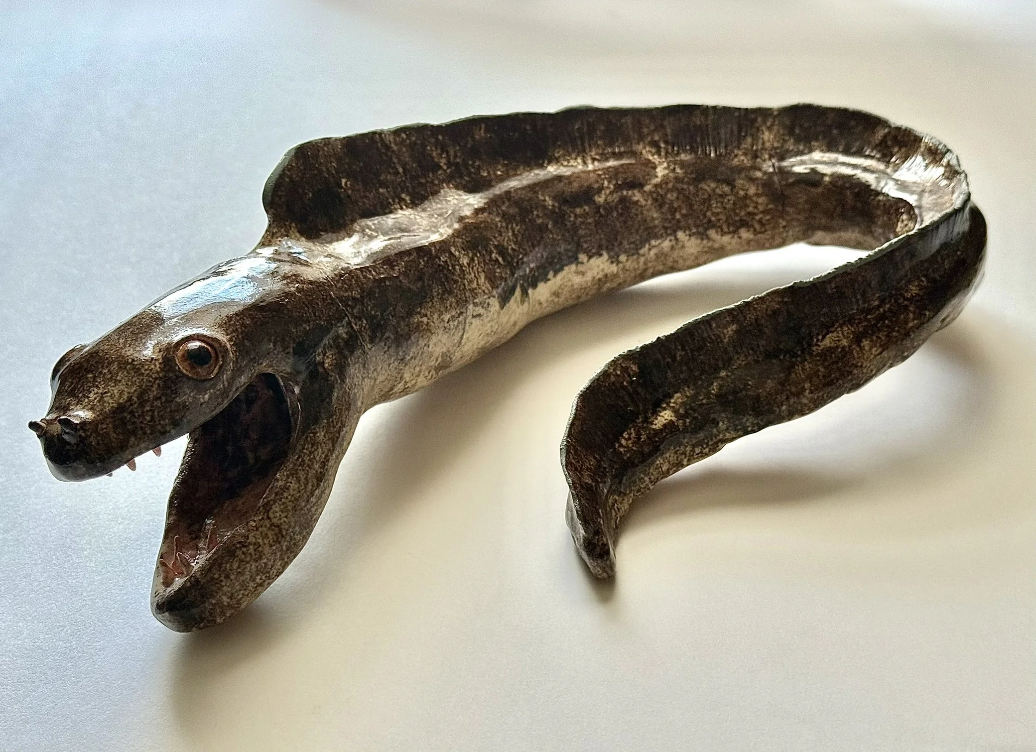 Spotted Moray (Gymnothorax moringa), Δ6 Stoneware, Rutile Stain, Glaze, 3.25” x 11.75” x 6”, 2025