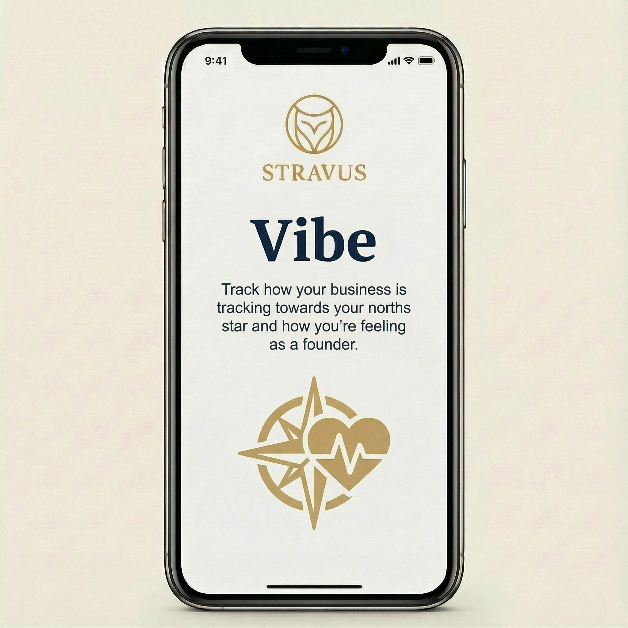 Vibe check in Stravus app tracking founder and business performance for better decision-making.
