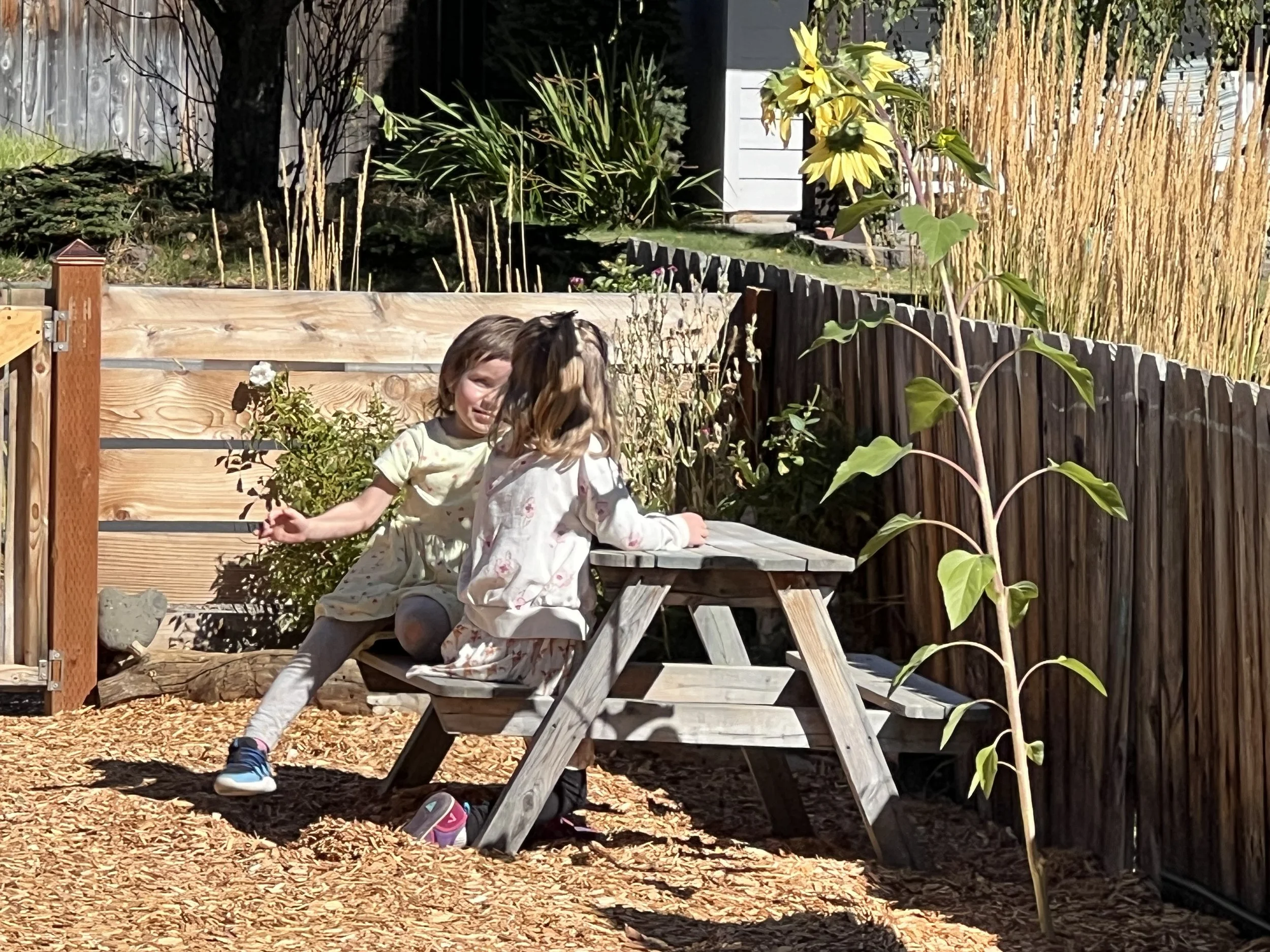 Two young girls playing near a small wooden picnic table and bench in a backyard, surrounded by wood chips, plants, and a fence.