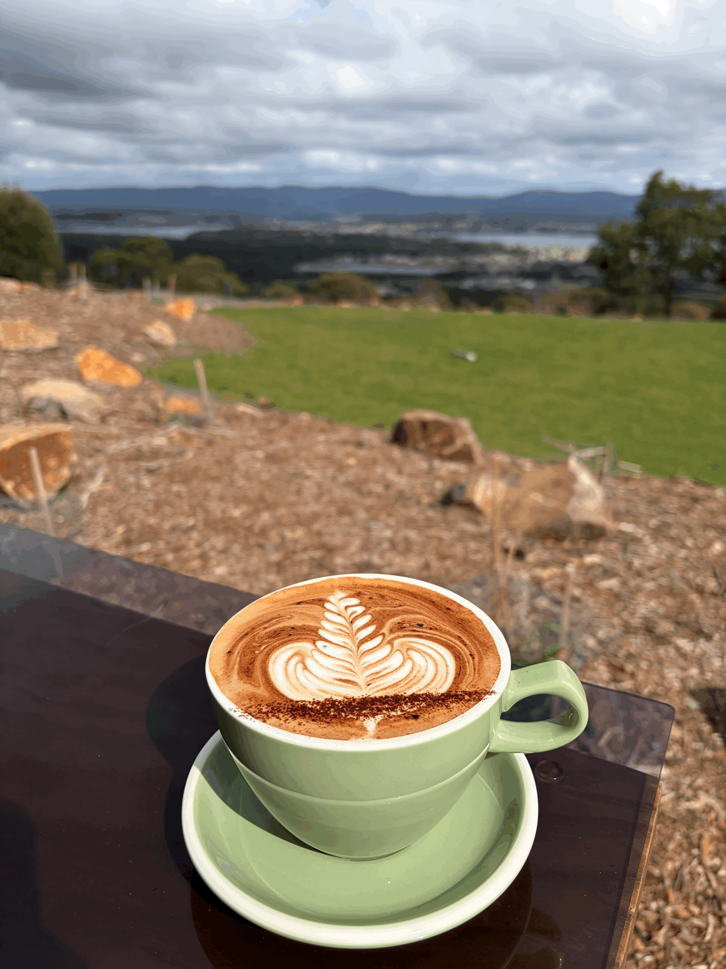 small cafe big dreams