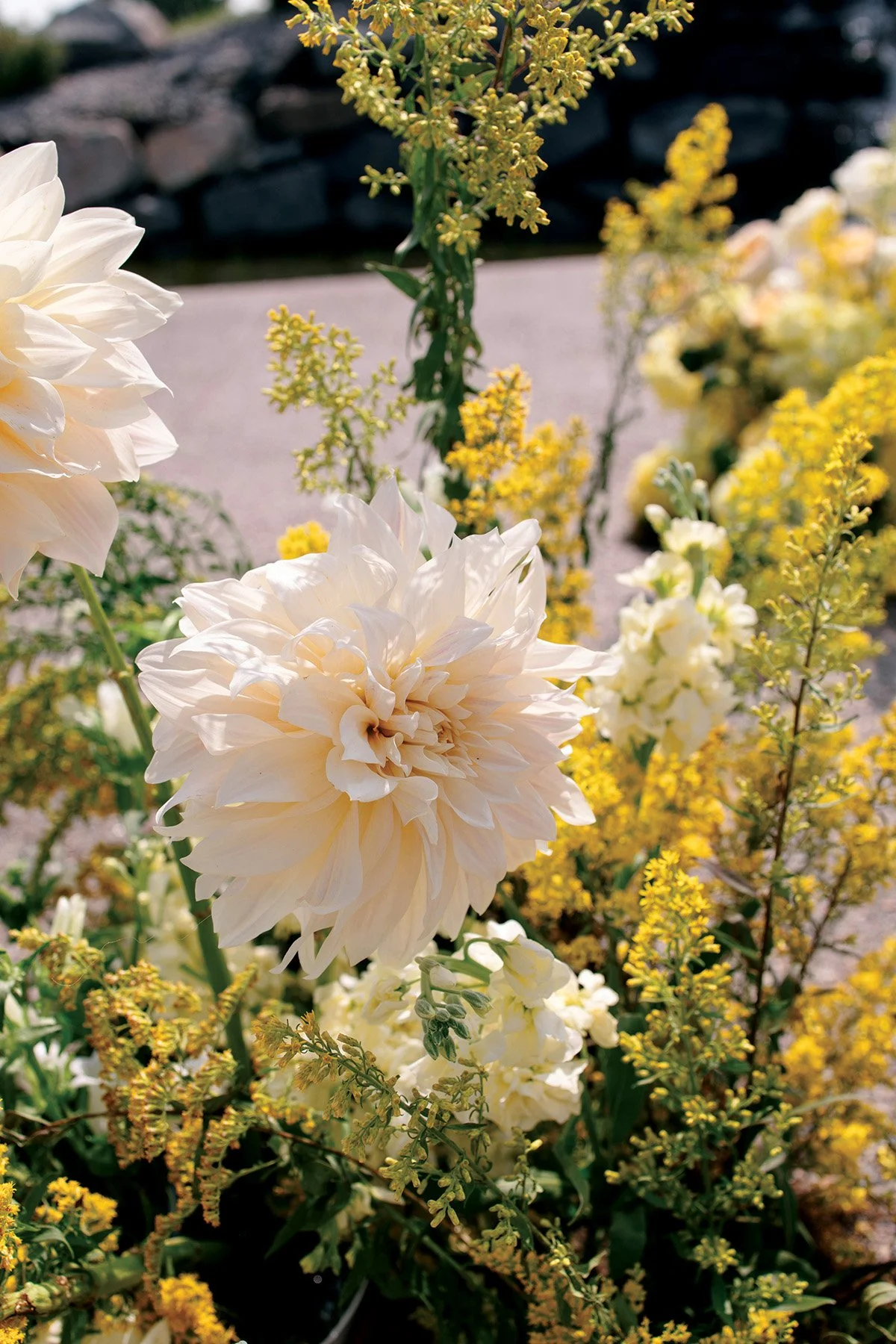 Up close picture of yellow flowers
