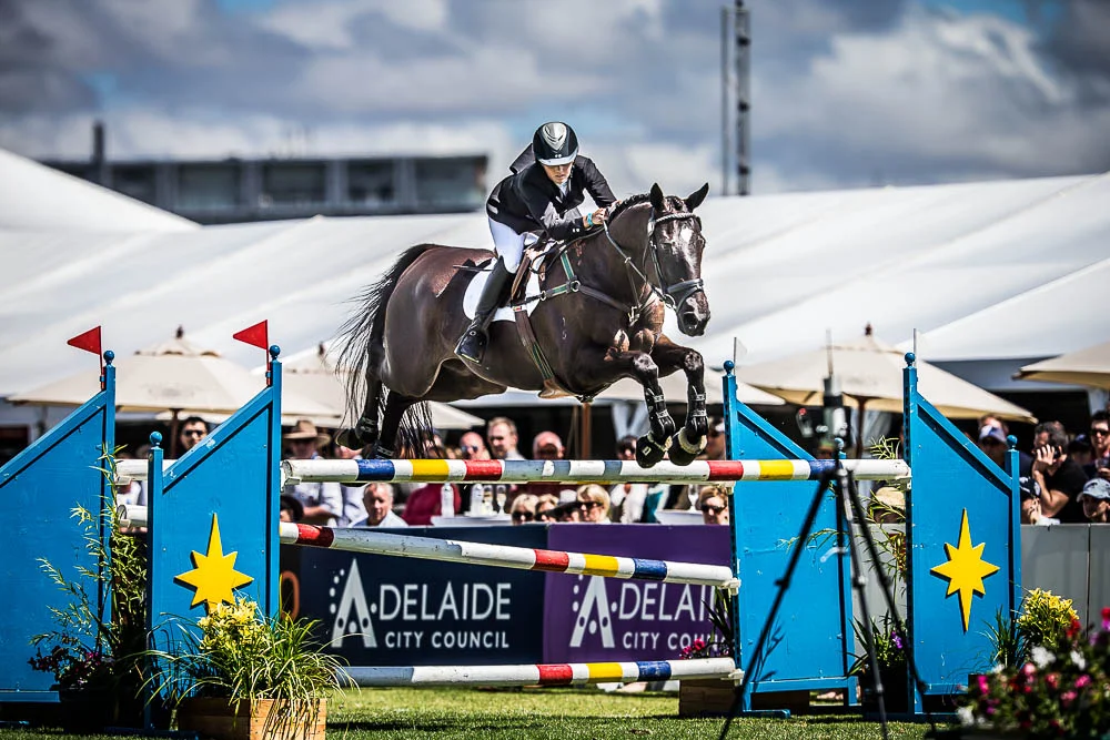 Fox Hill in the CCI4**** 2014 - photo by Stephen Mowbray