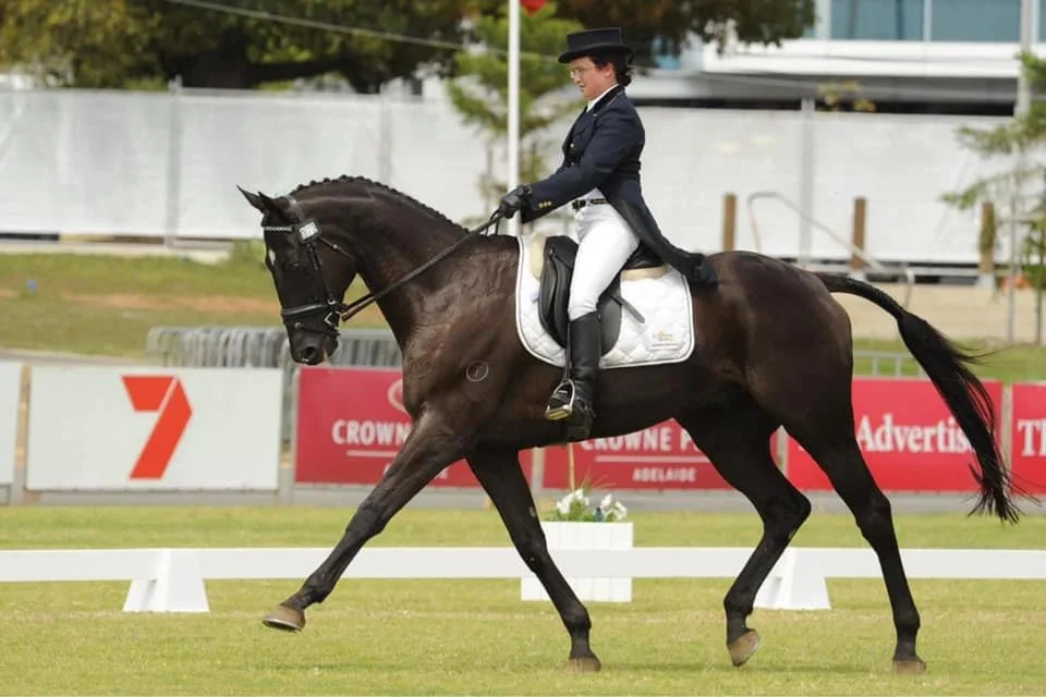 Fox Adelaide Dressage.jpg