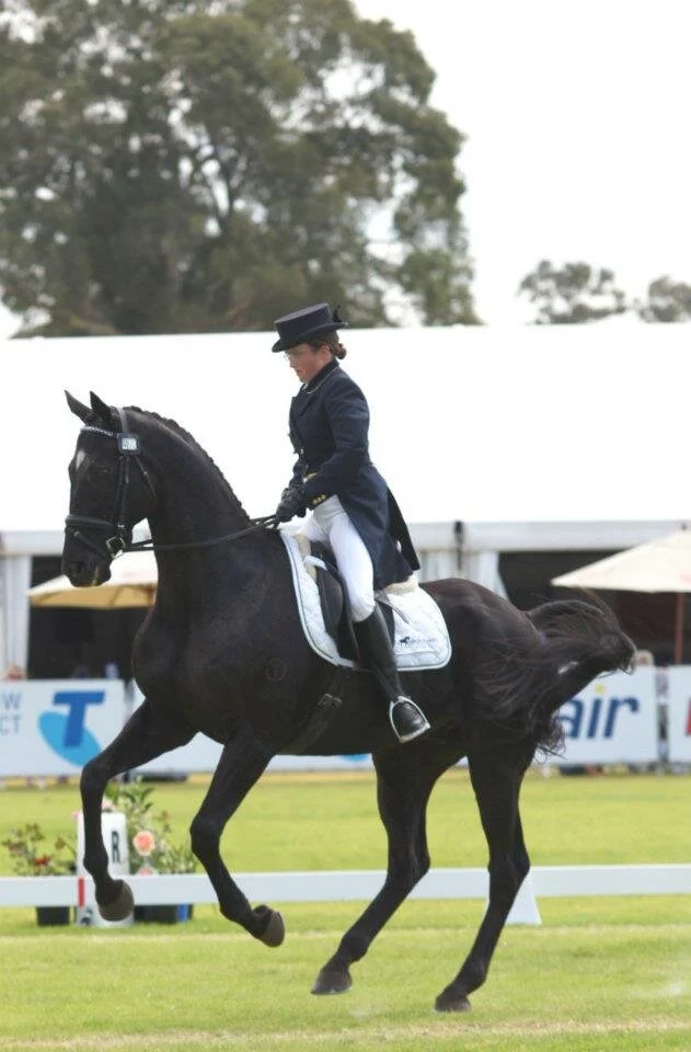 The Challenging Horses
