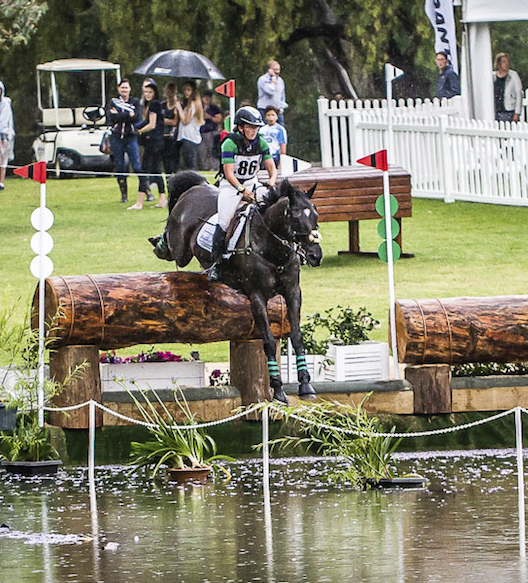 Adelaide Water 2014.png