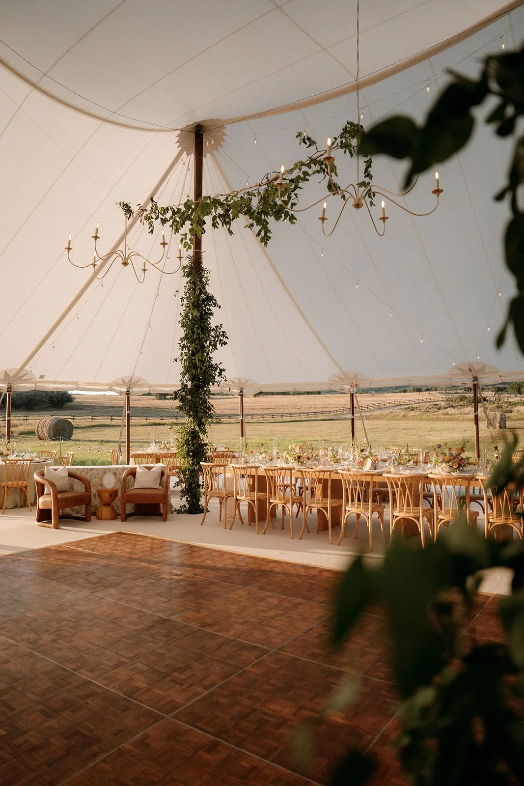 DSC04138_websize (1).jpg