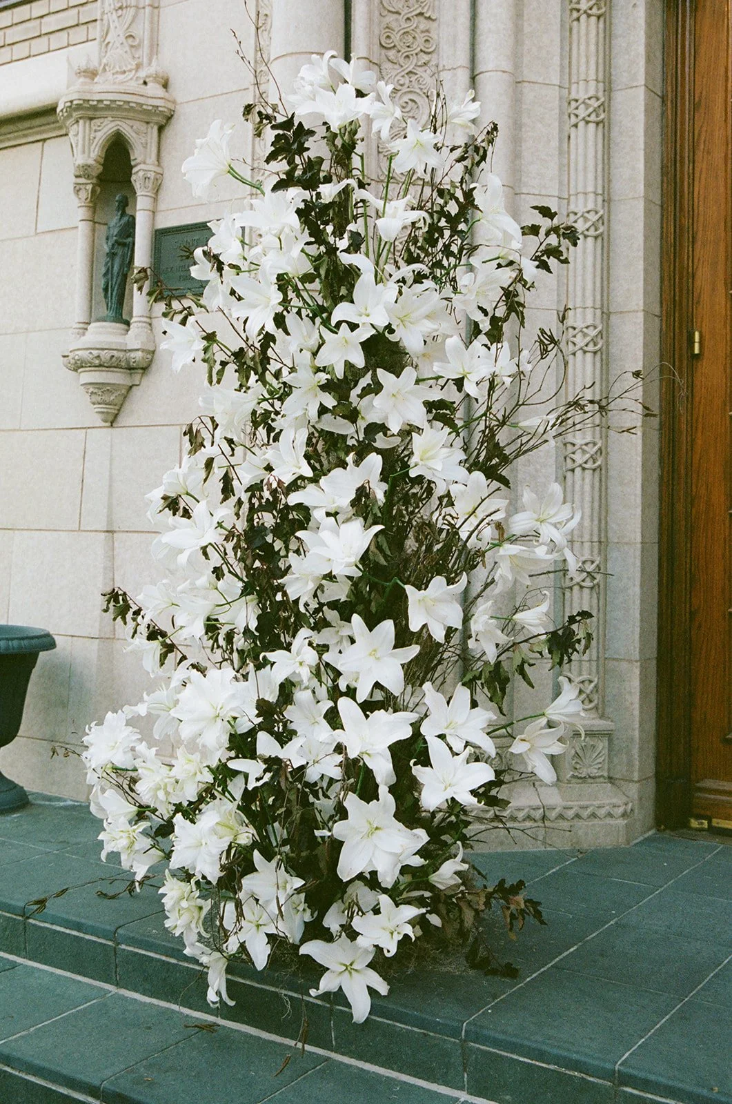 000143700036This_websize (1).jpg