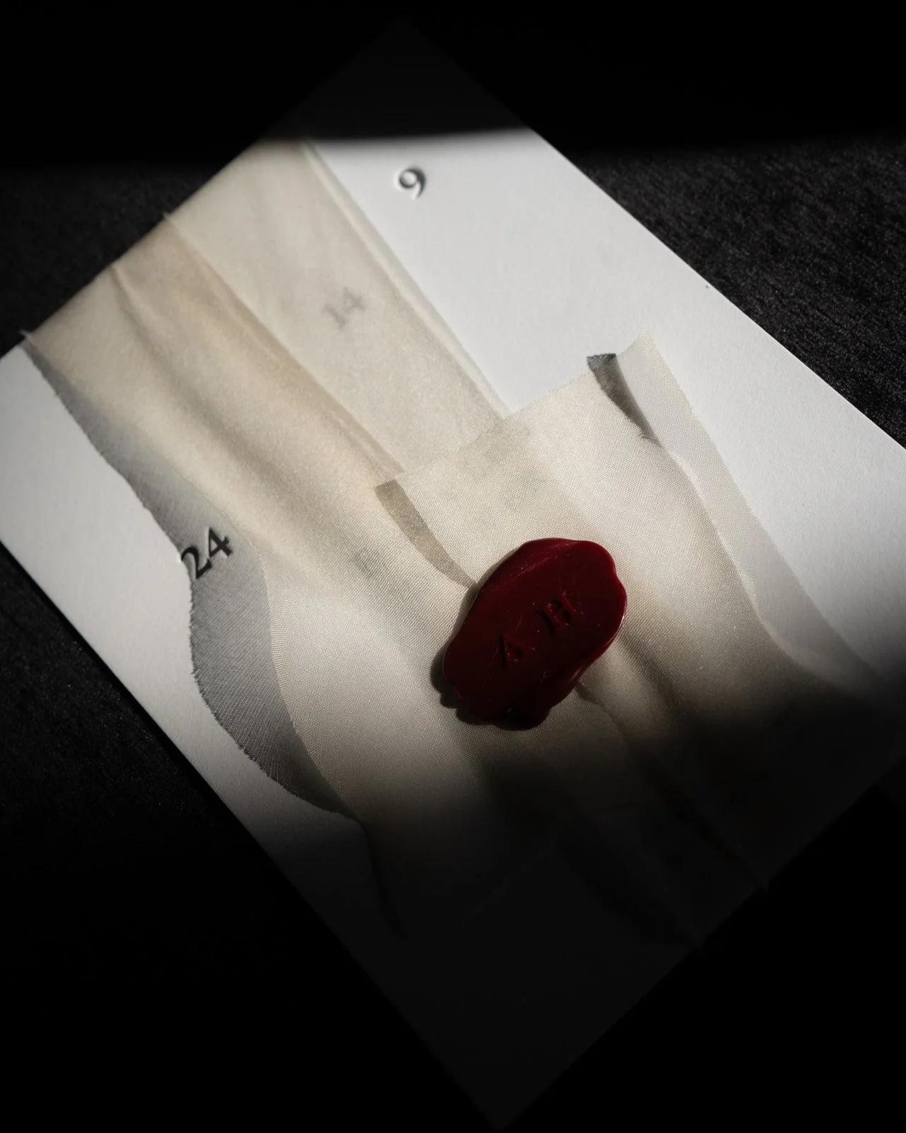 DSC06705_websize (1).jpg