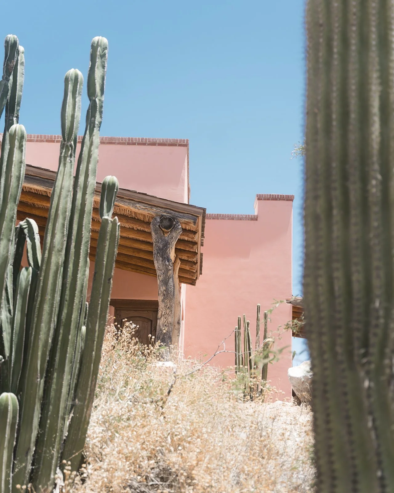 DSC01421_websize (1).jpg