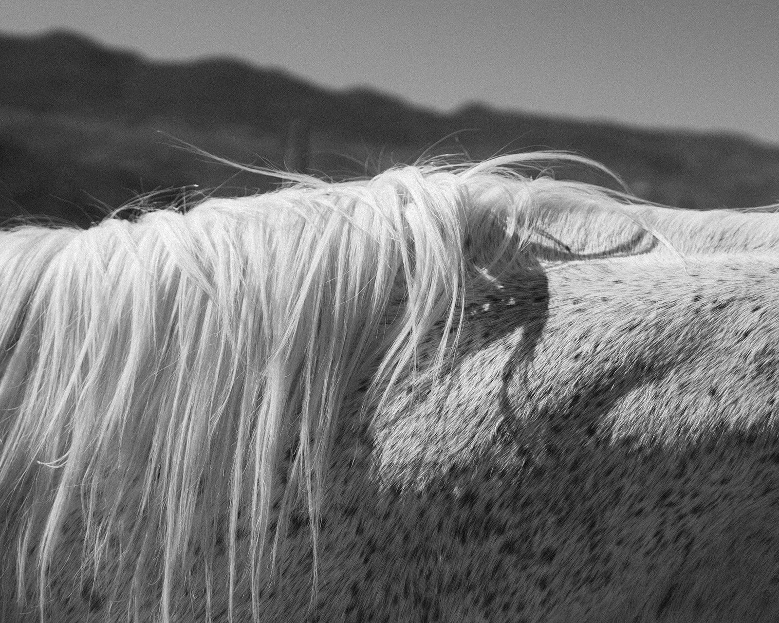 DSC05137_websize (1).jpg