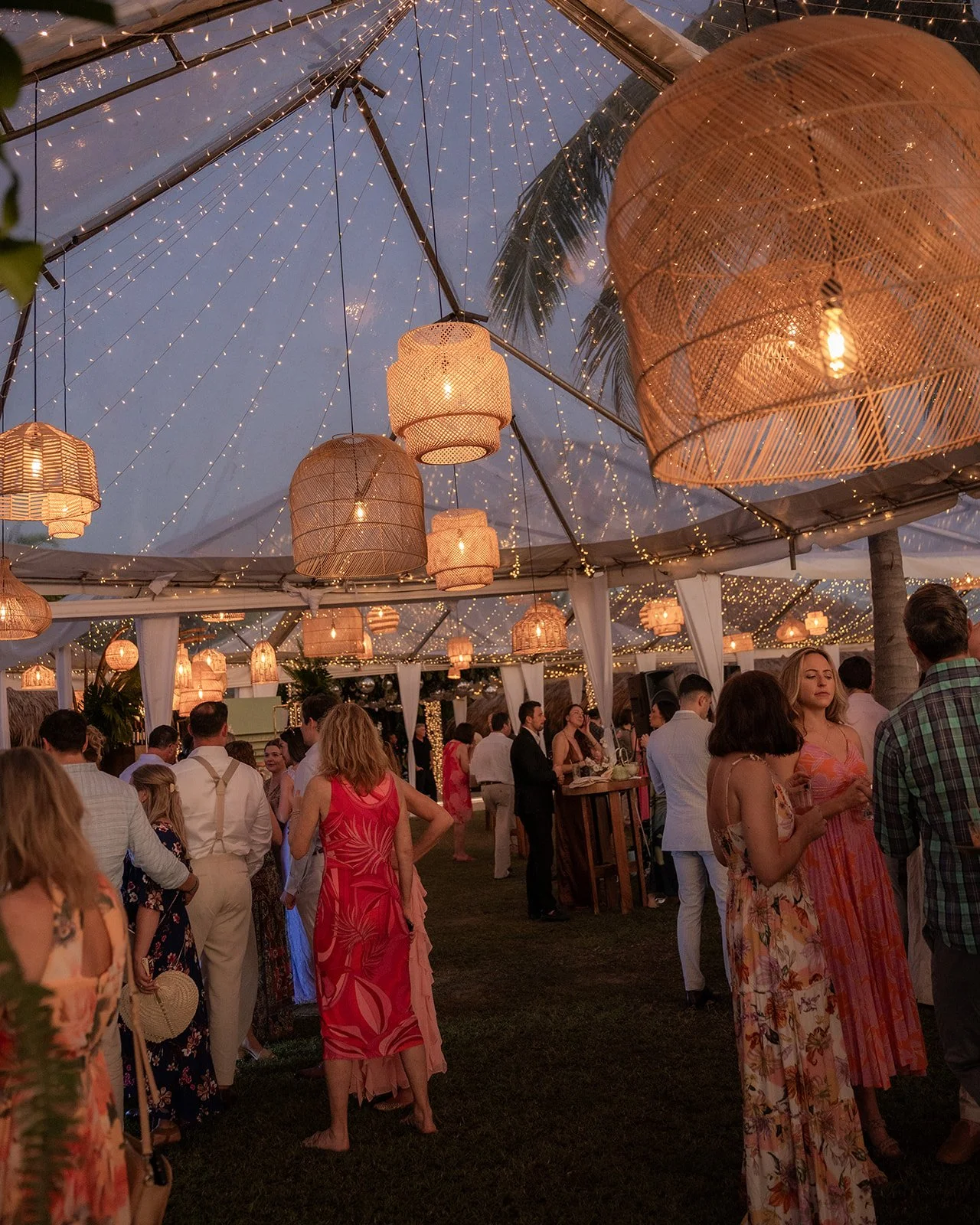 DSC02868_websize (1).jpg