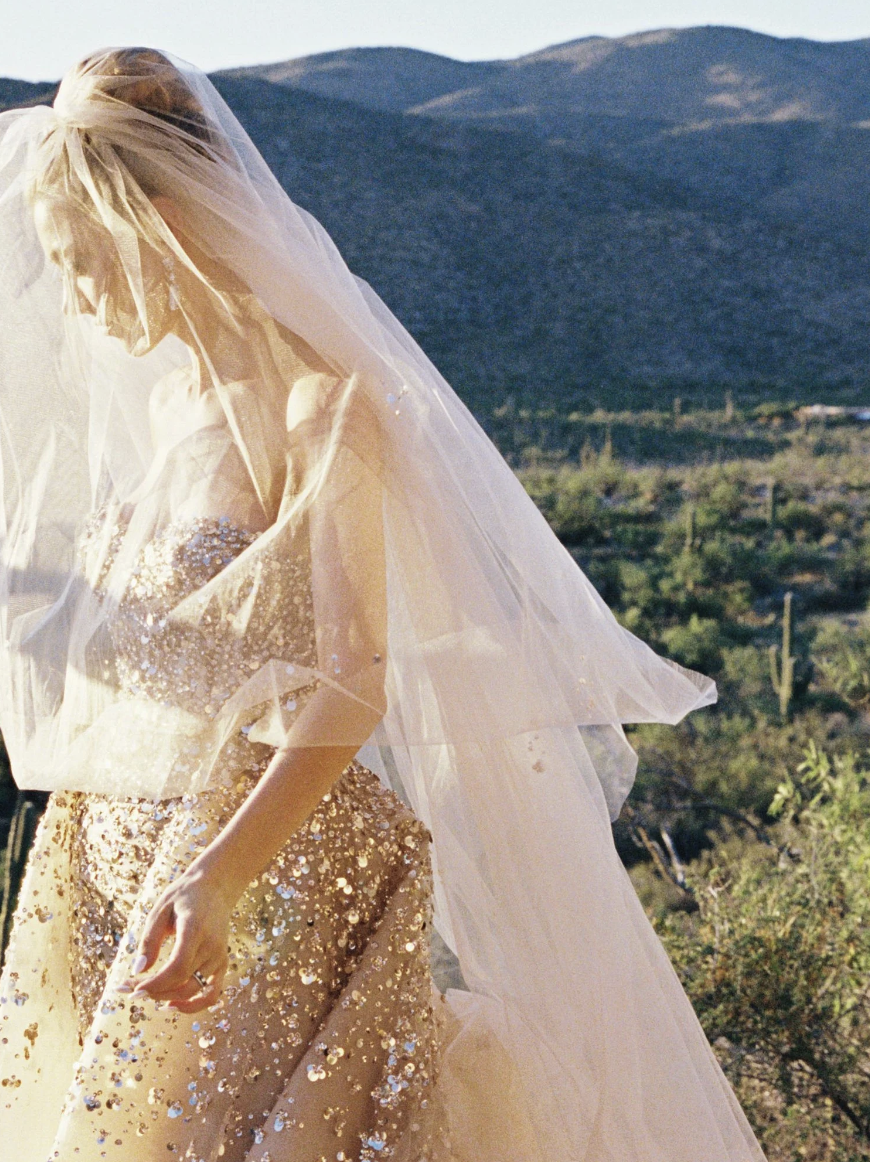 Screenshot 2026-03-16 at 10.41.14 AM.png