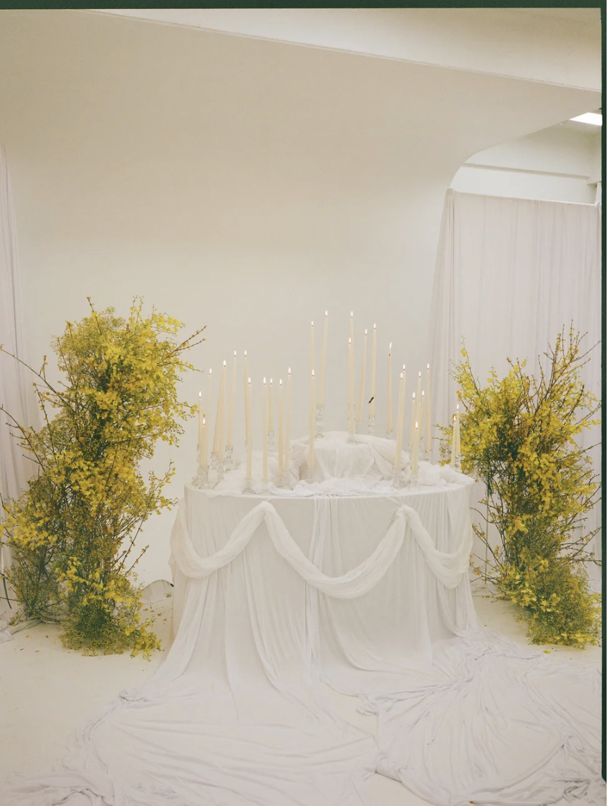 Screenshot 2026-03-15 at 12.13.24 PM.png