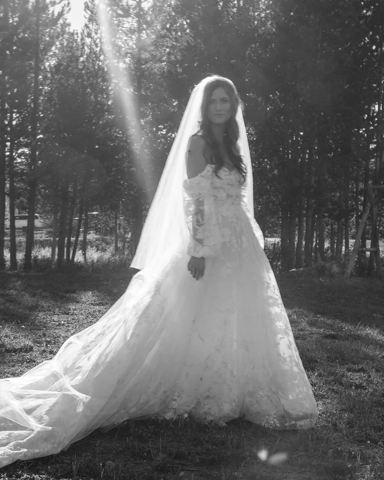 DSC00550_websize (1).jpg