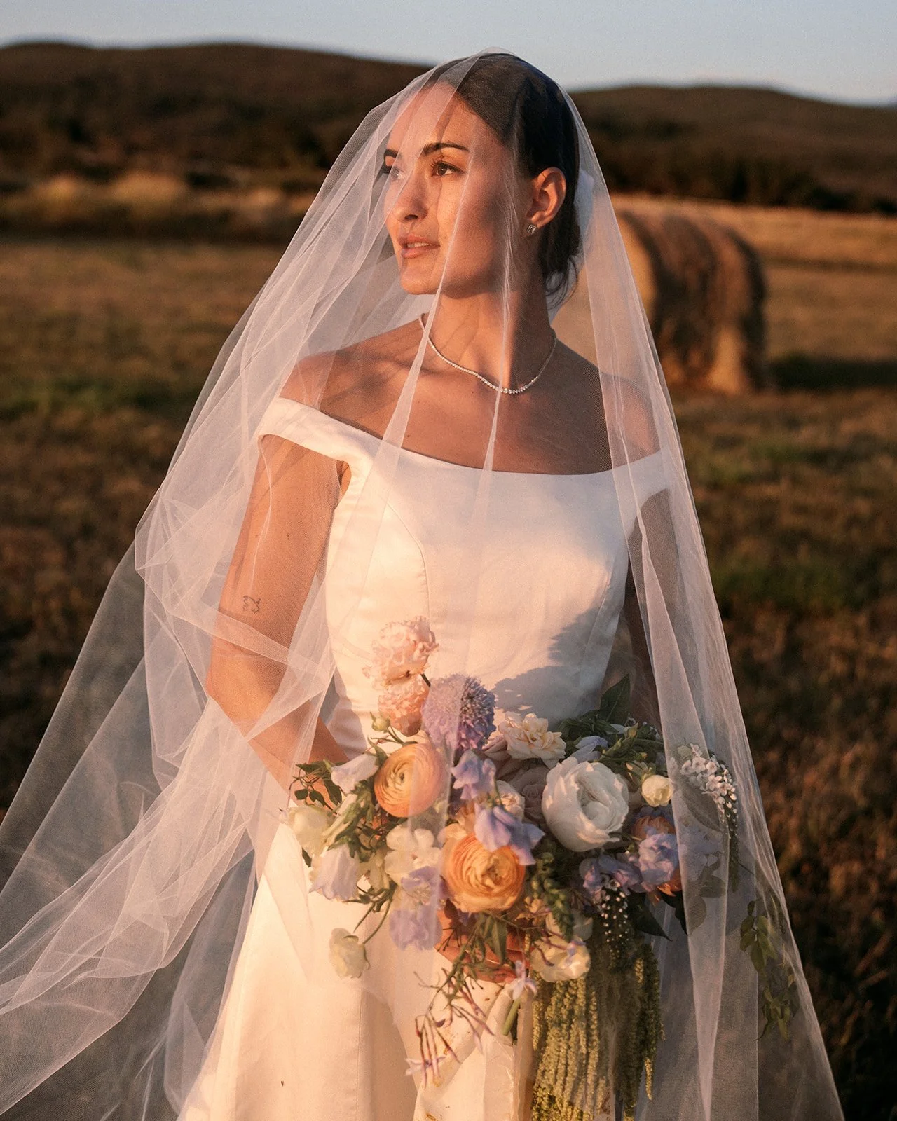 DSC04377_websize (1).jpg