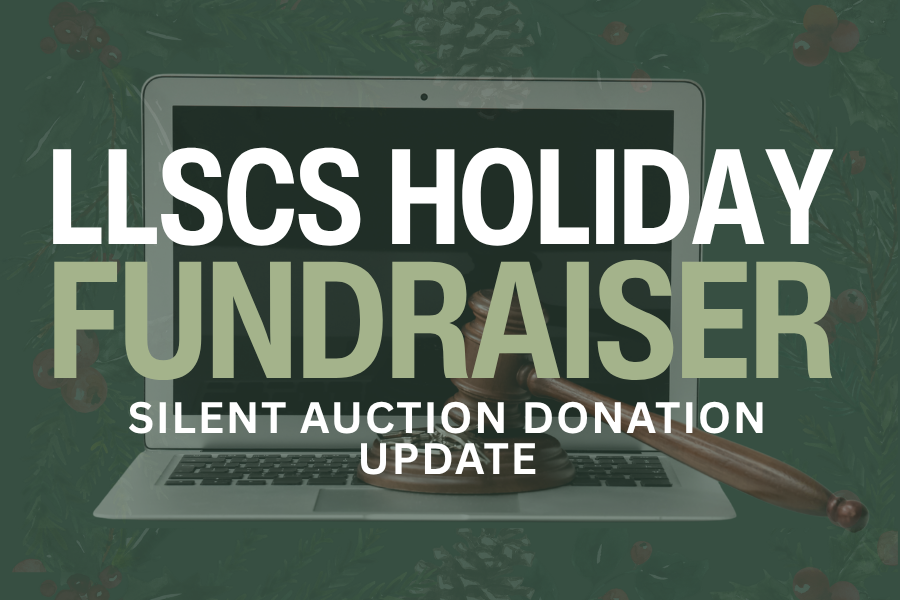 Lake Louise Ski Clubs Silent Auction – Donation Drop Off Deadline!