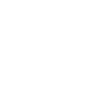 Shield check icon