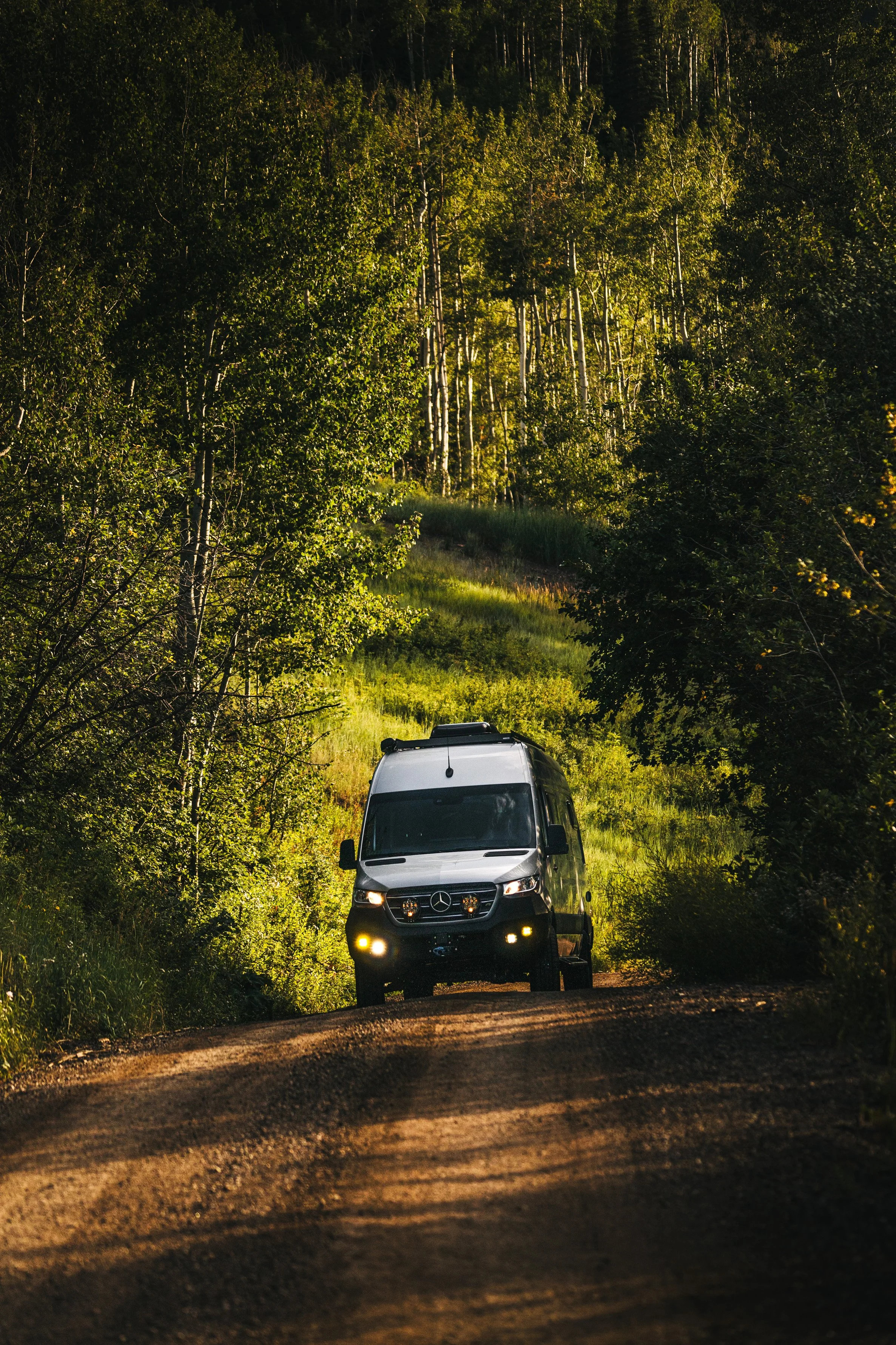 A silver van driving on a dirt trail through a forested area with green trees and bushes.