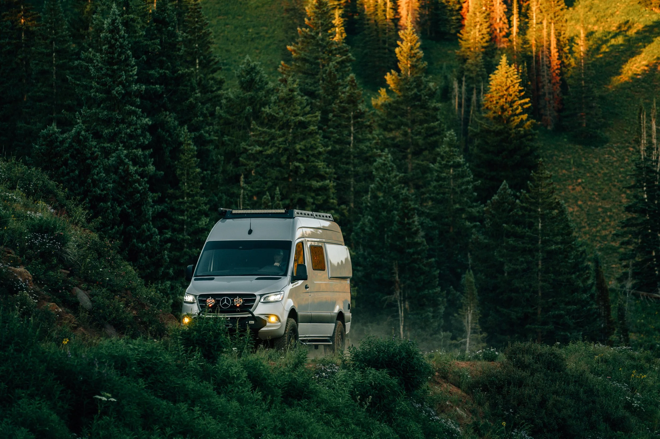 Silver camper van driving on a dirt road through a dense green forest with tall pine trees during daylight.