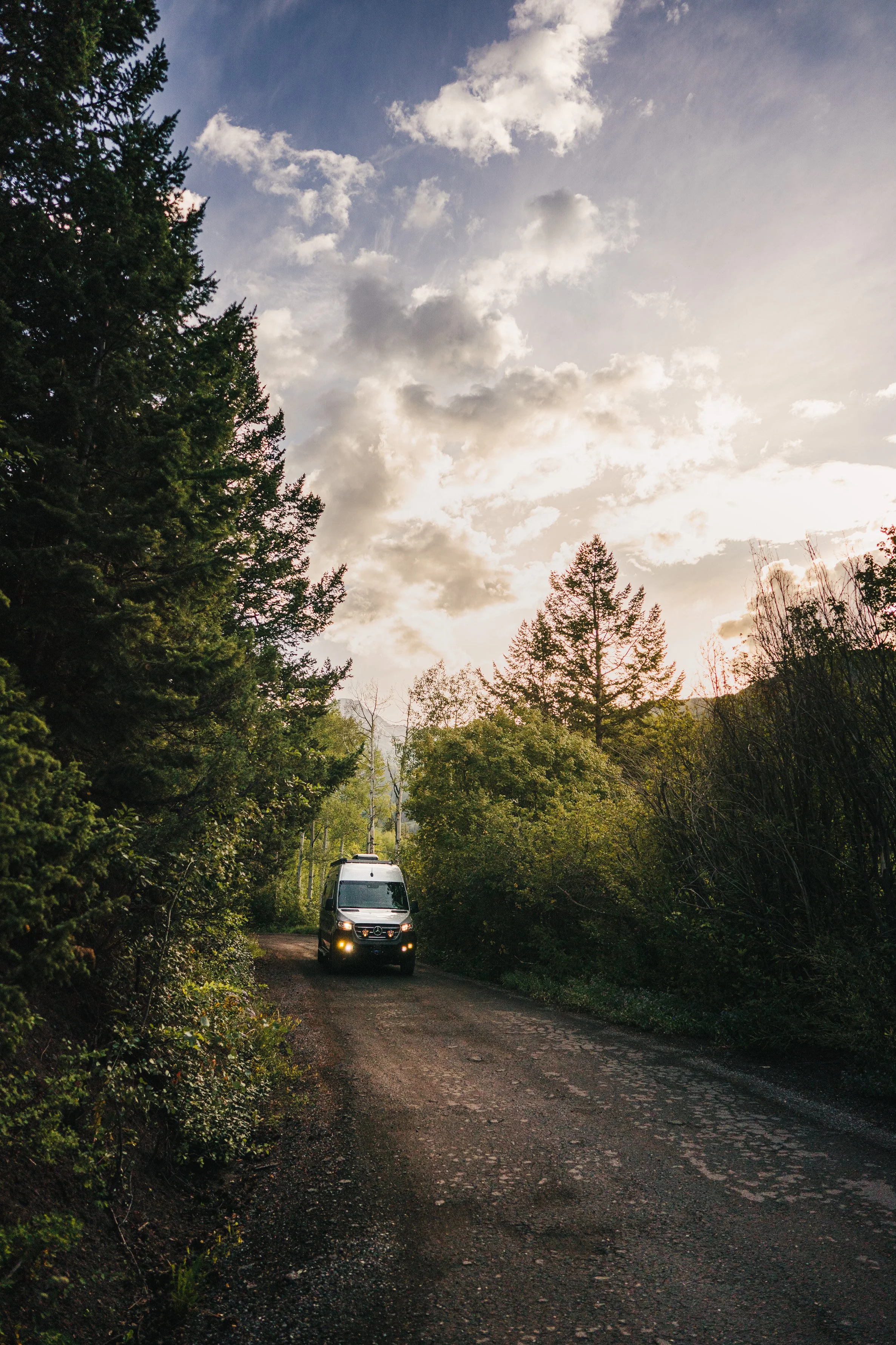 A Sprinter van driving down a dirt road surrounded by green trees with a cloudy sky in the background during late afternoon or early evening.