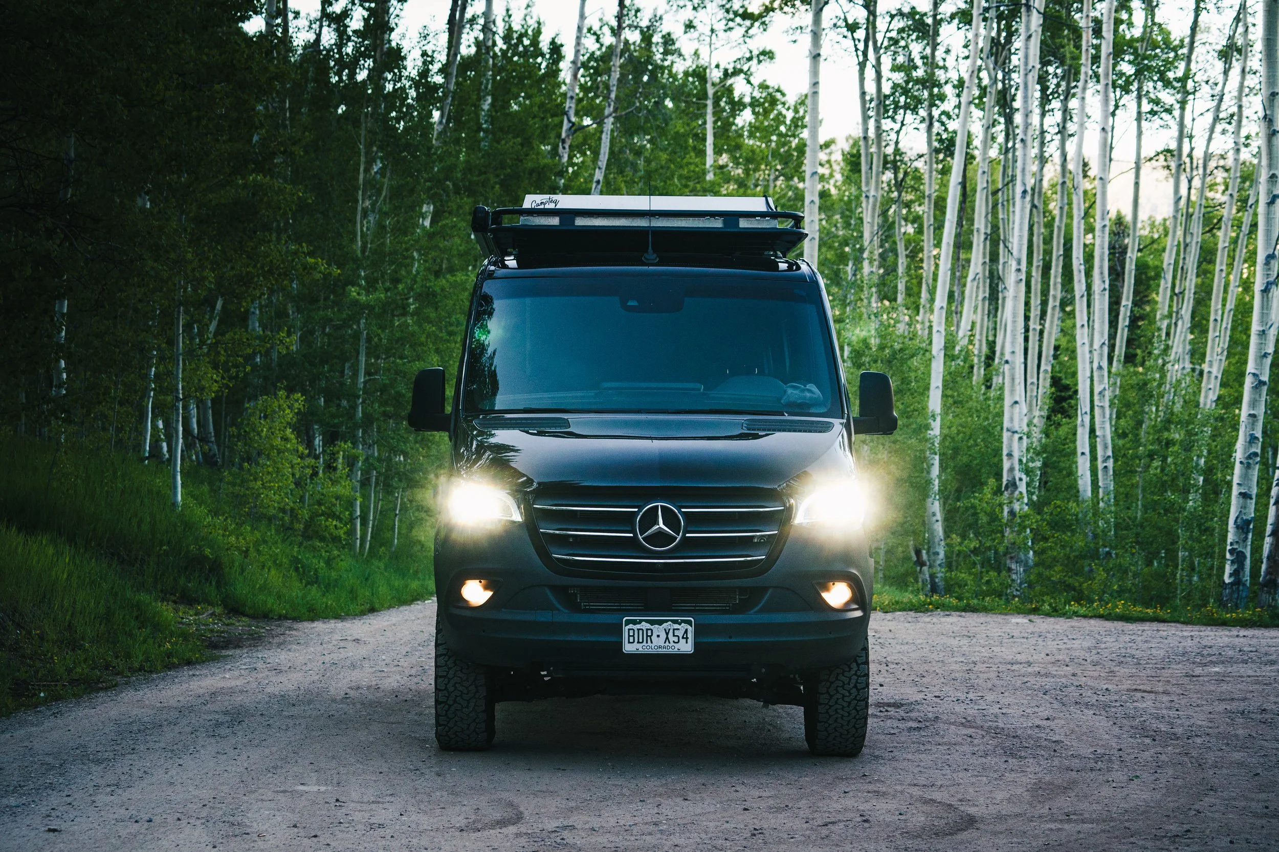 Black Mercedes-Benz van with front headlights on parked on a dirt road in a forest of tall, white-barked trees.