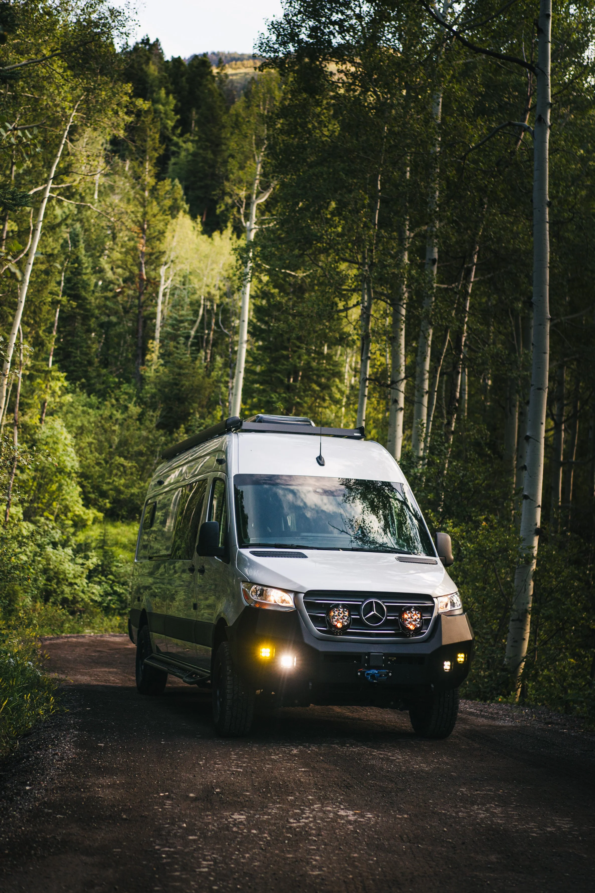 Silver Mercedes-Benz van parked on a dirt road in a forest surrounded by tall trees.