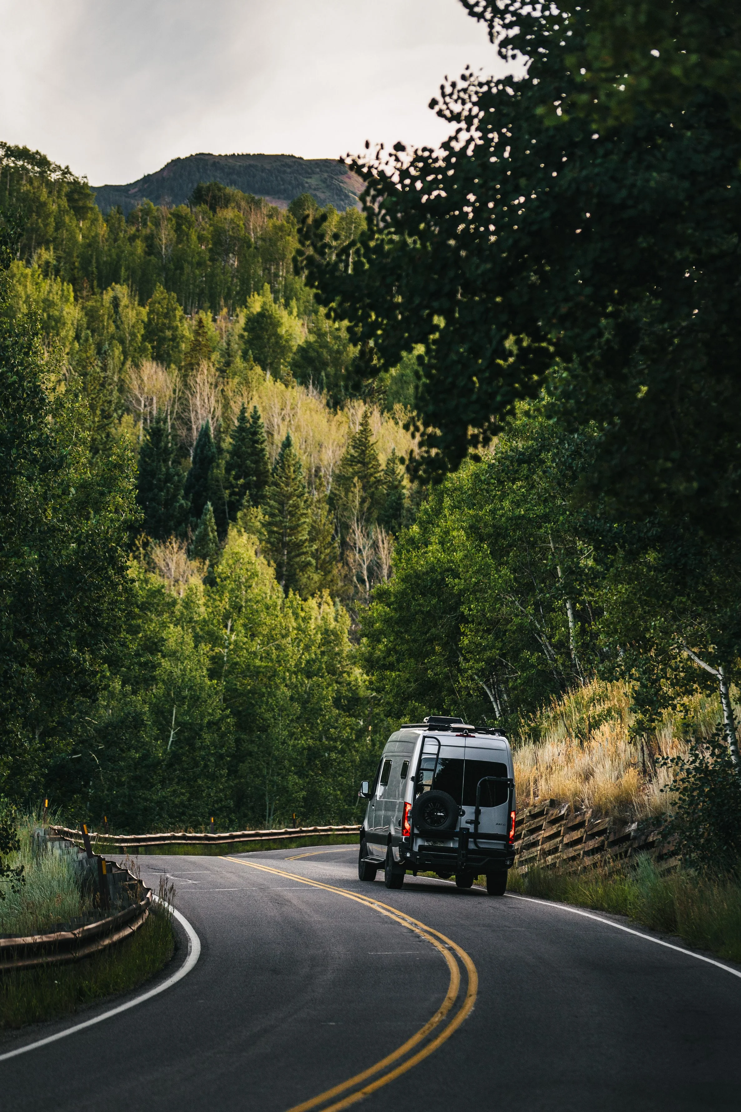 A silver Sprinter van driving on a winding mountain road surrounded by lush green trees and a forested hillside.