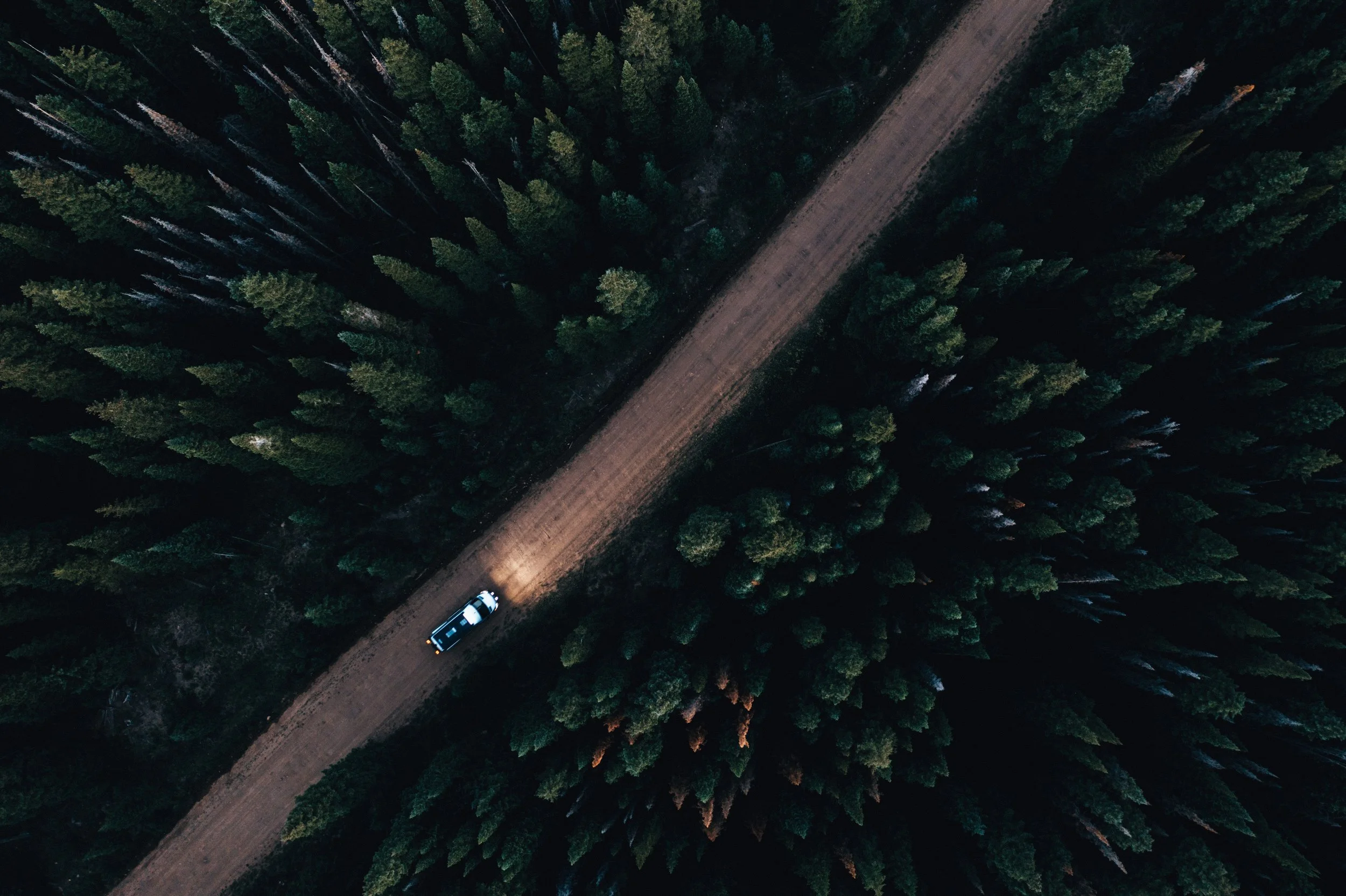 Aerial view of a forest with a dirt road running through it and a vehicle traveling along the road at dusk or dawn.