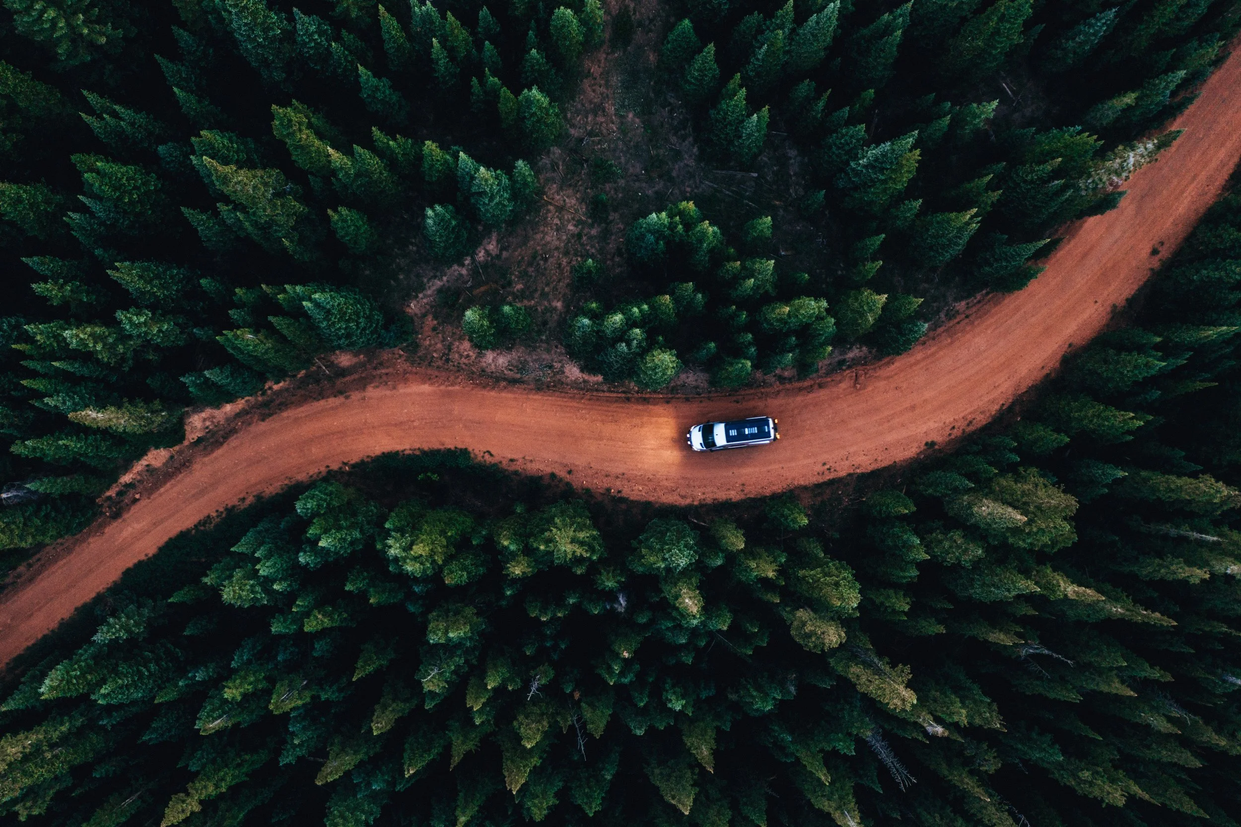 Drone aerial view of a car driving on a winding dirt road through a dense forest of tall evergreen trees.