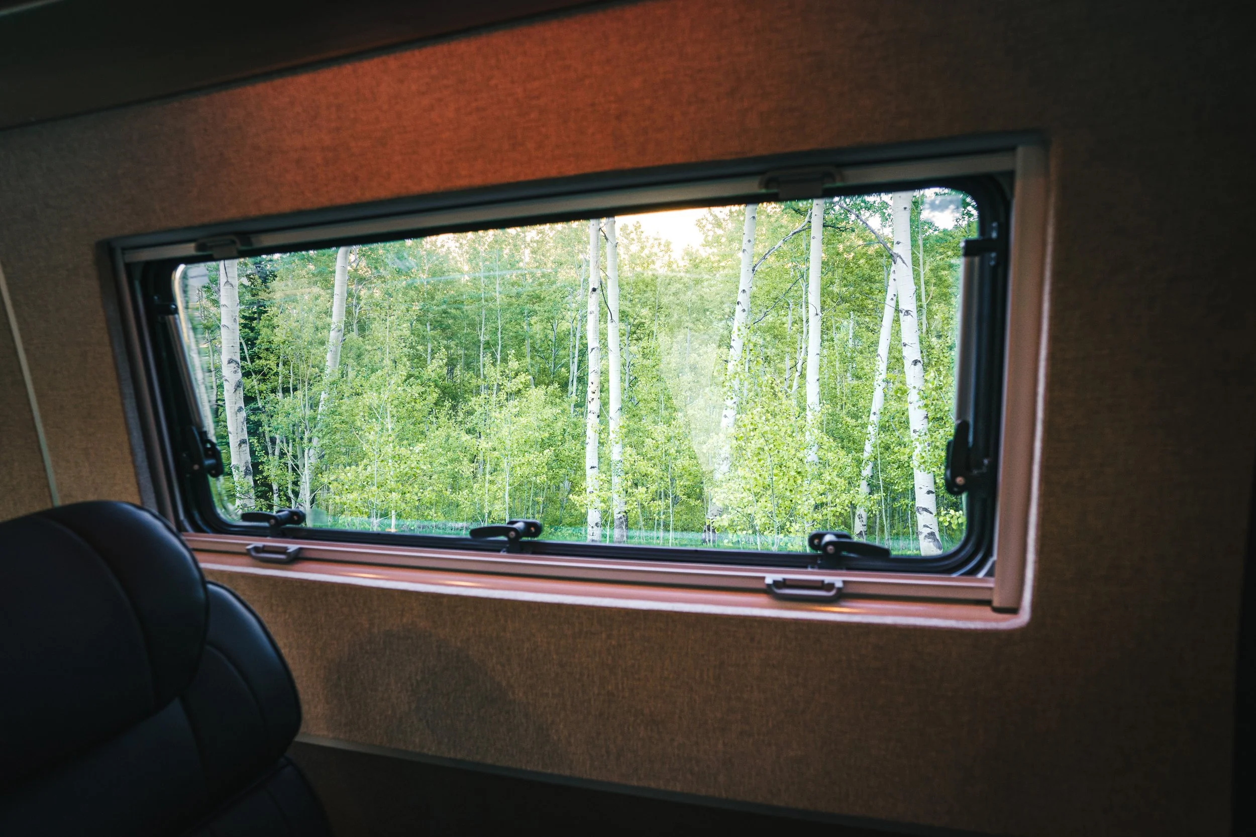 View through a rectangular window showing a forest with tall, white-barked trees and green foliage.