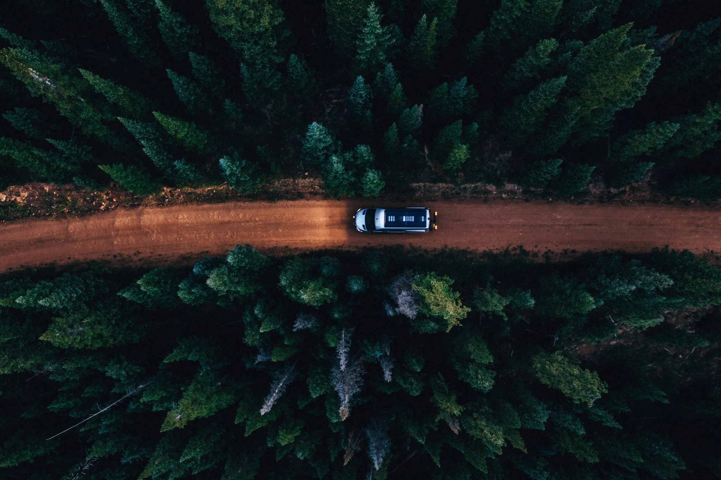 Aerial view of a black and white vehicle driving on a dirt road through a dense green forest.