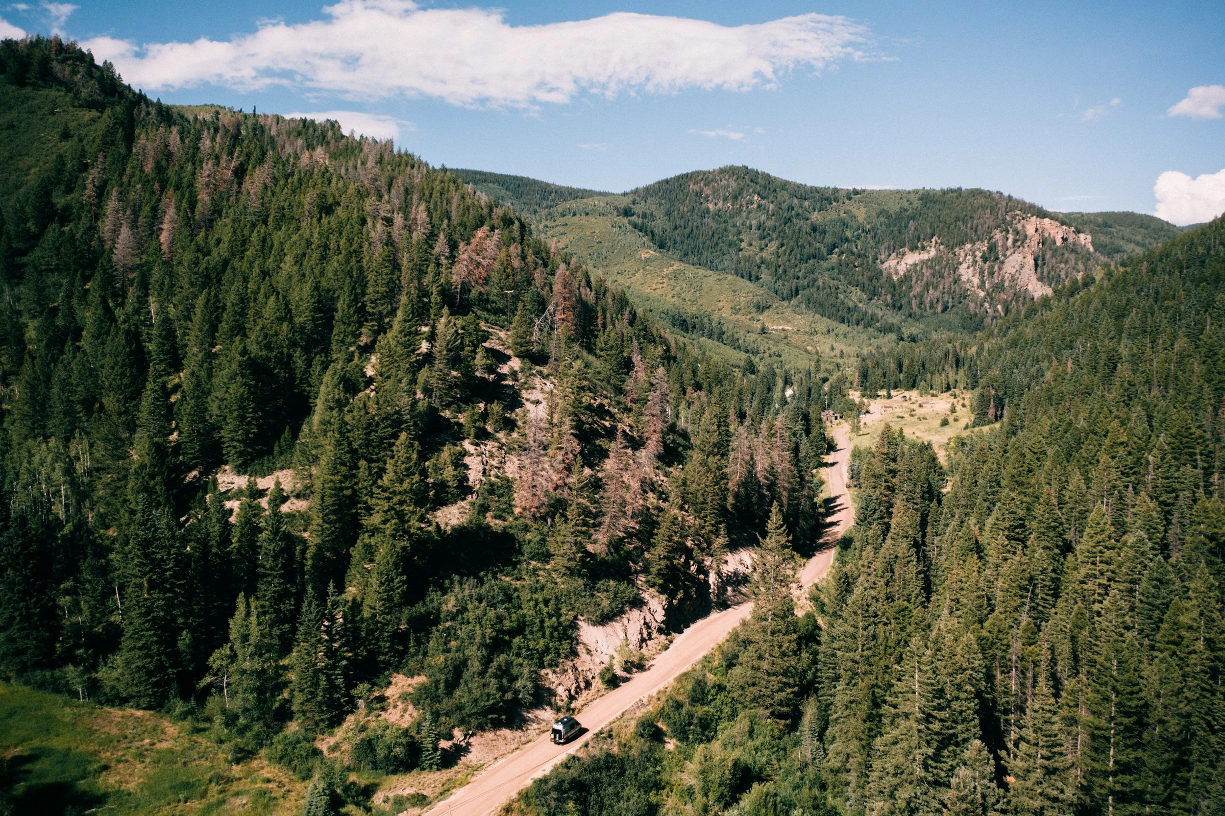 A winding dirt road through a dense forest of green pine trees on a sunny day with a clear blue sky.
