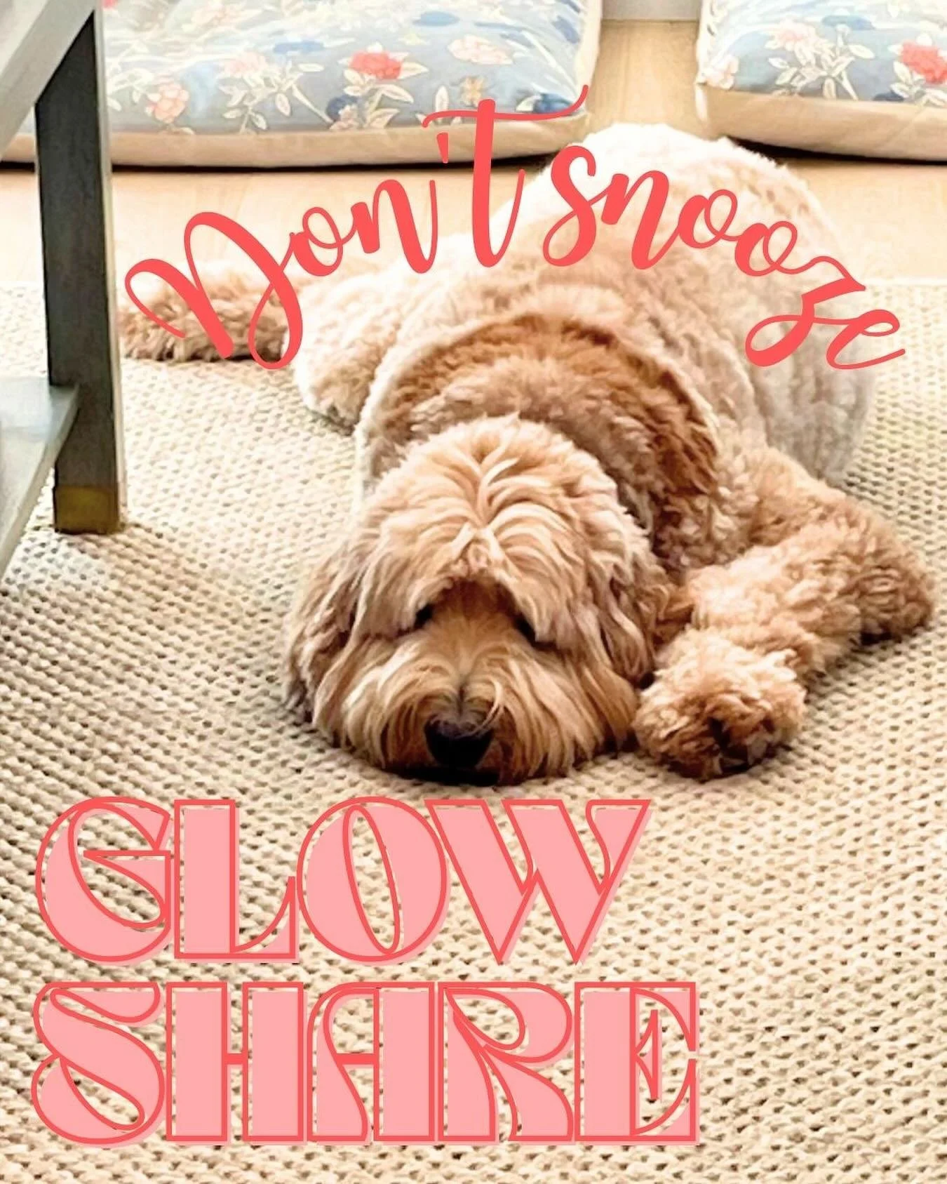 Share His Word! We all need to hear it! 
#dailyglow
#glowshare