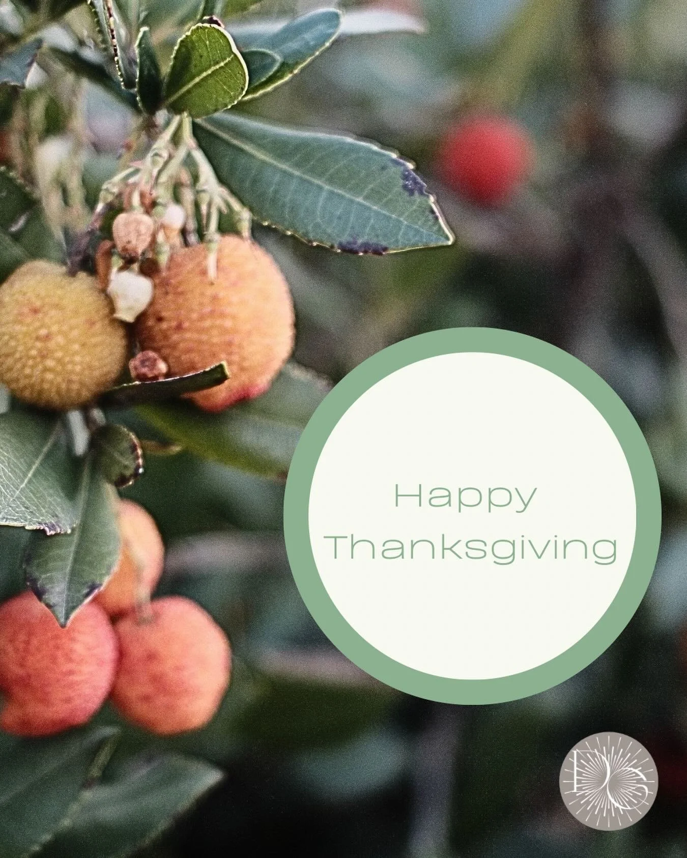 Happy Thanksgiving! See you after the break. Praying God shows you so many reasons to be THANKFUL this week.
#dailyglow
#thankful