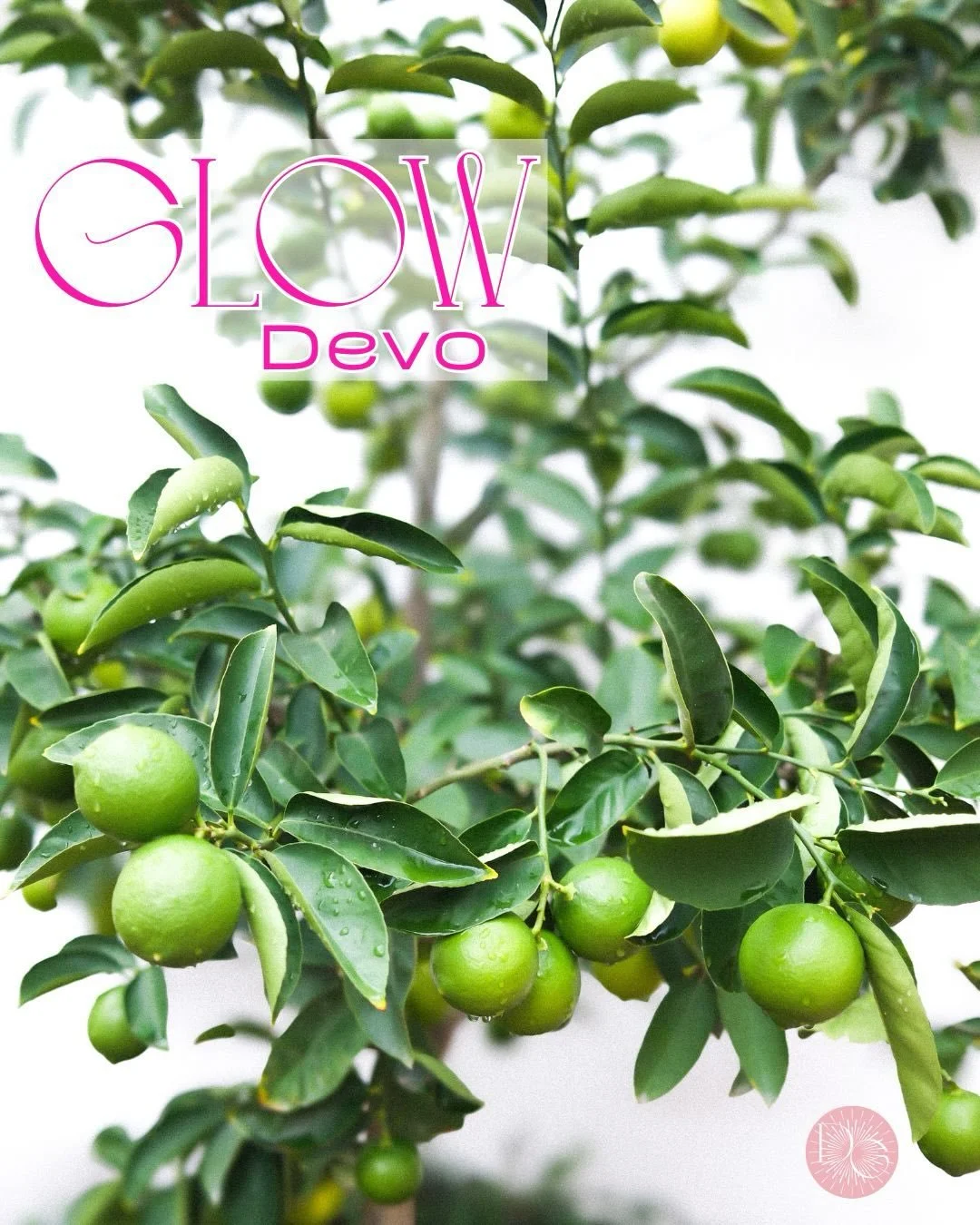 Some girls look confident.
Some girls wish they were.
Confidence isn&rsquo;t how you walk into a room.
It&rsquo;s what keeps you standing when you walk out.