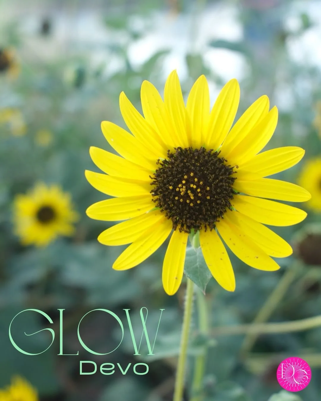 He doesn&rsquo;t stop searching, until He finds you!