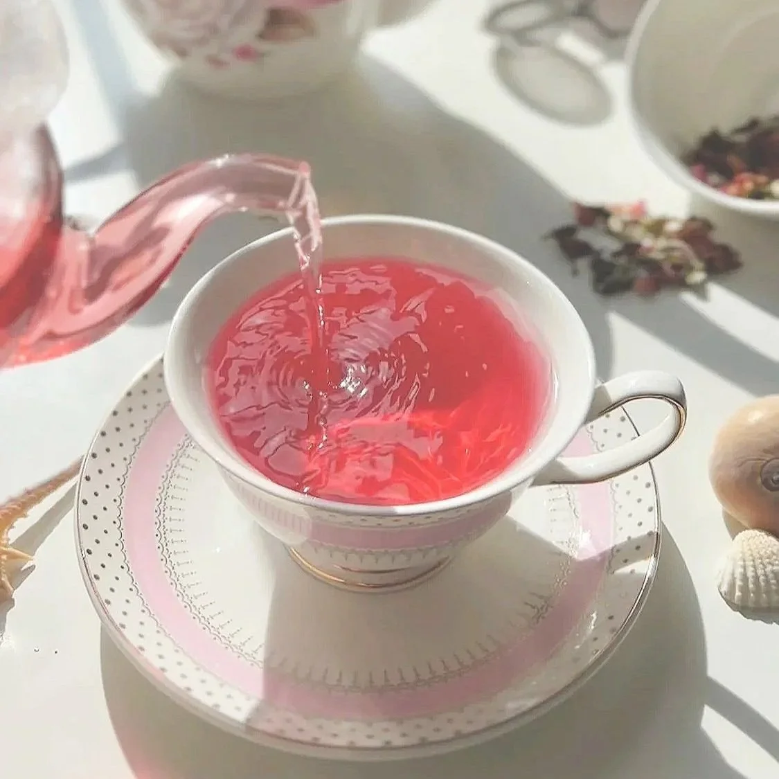 Venus+Pour+Shot.jpg