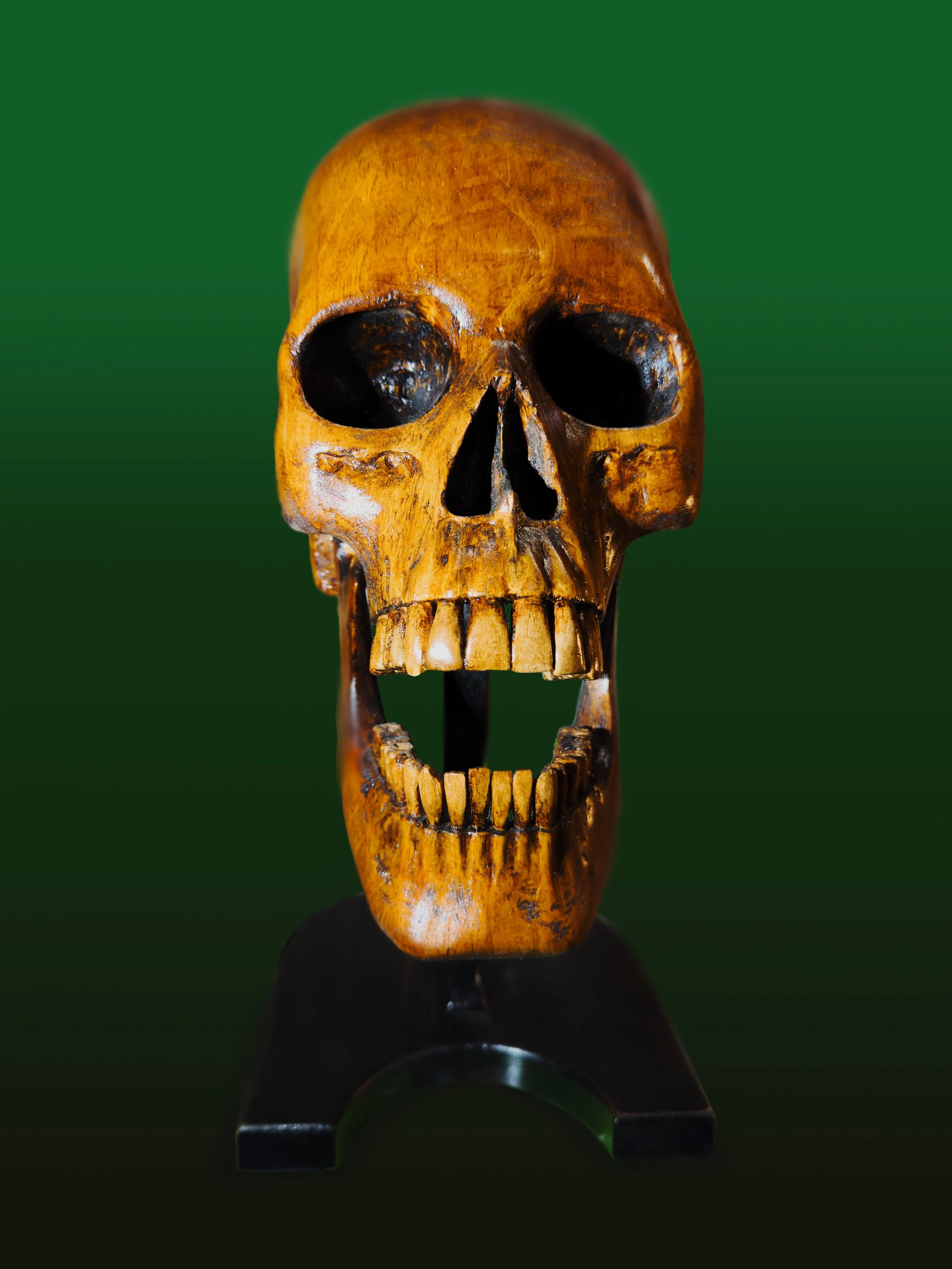 SwS Skull1f.jpg
