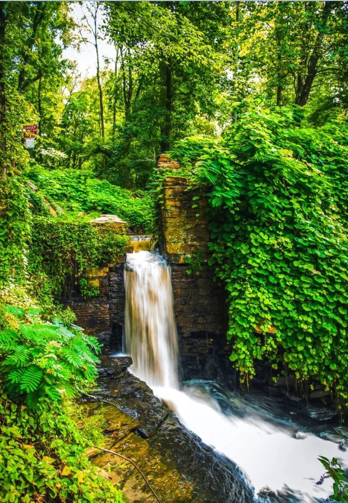 Calming waterfall representing safe, guided healing and emotional balance at Life Line Bioenergetics