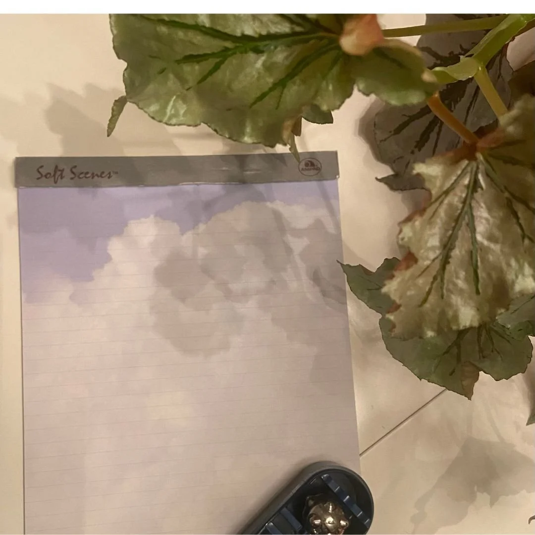 The quiet Magic of Local Fairs ✨