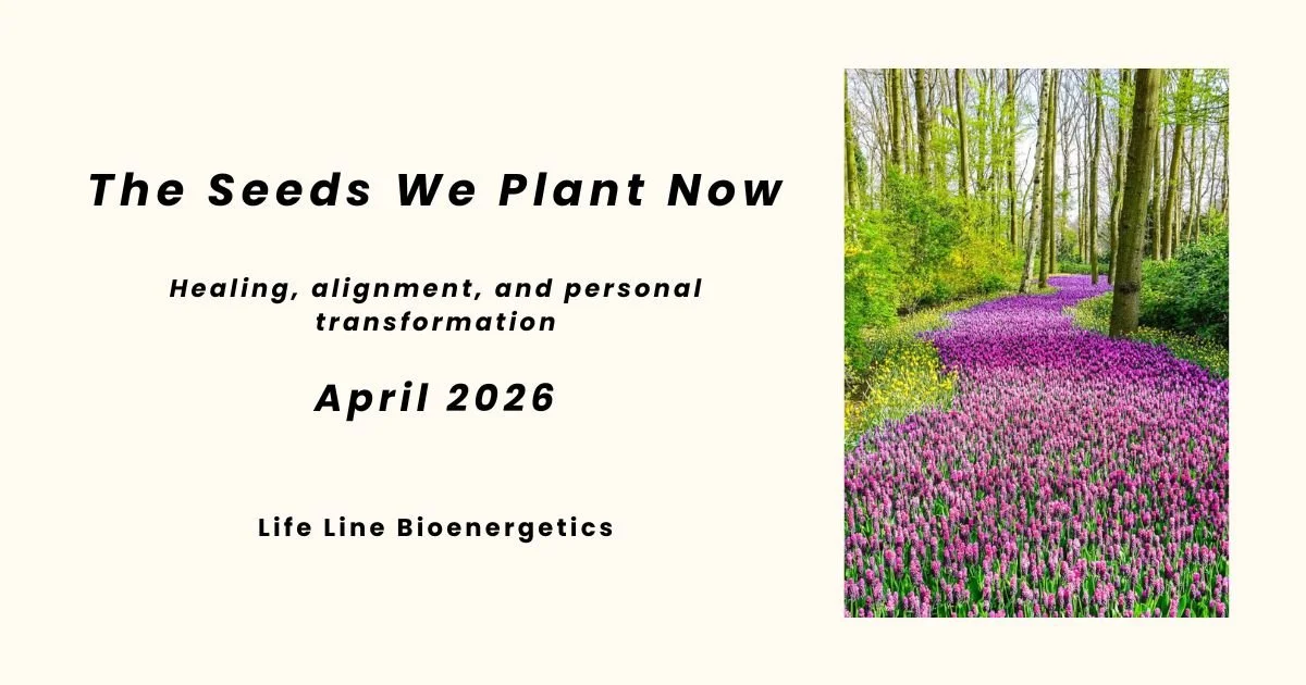 The Seeds we plant now