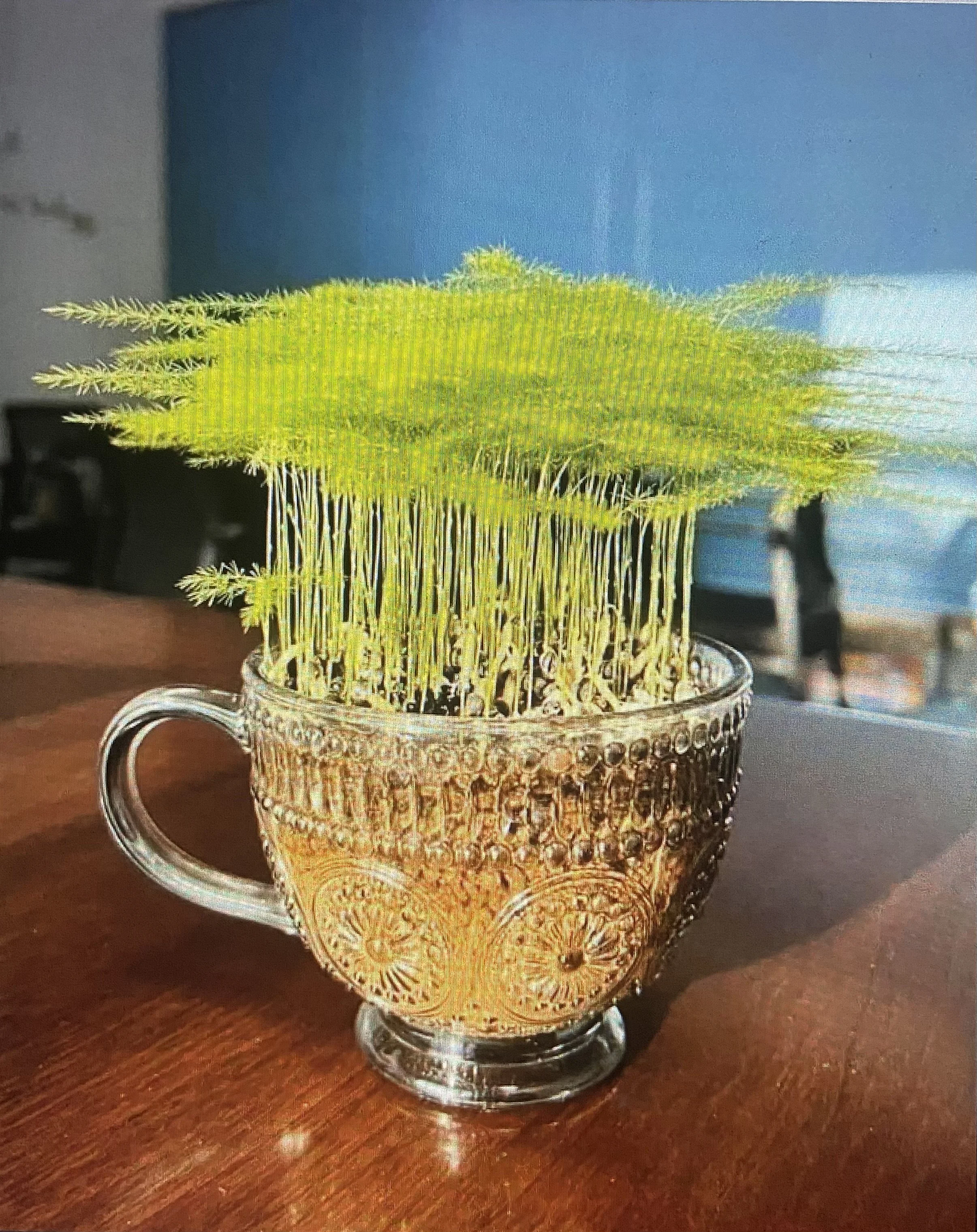 Roots symbolizing the foundation of beliefs.