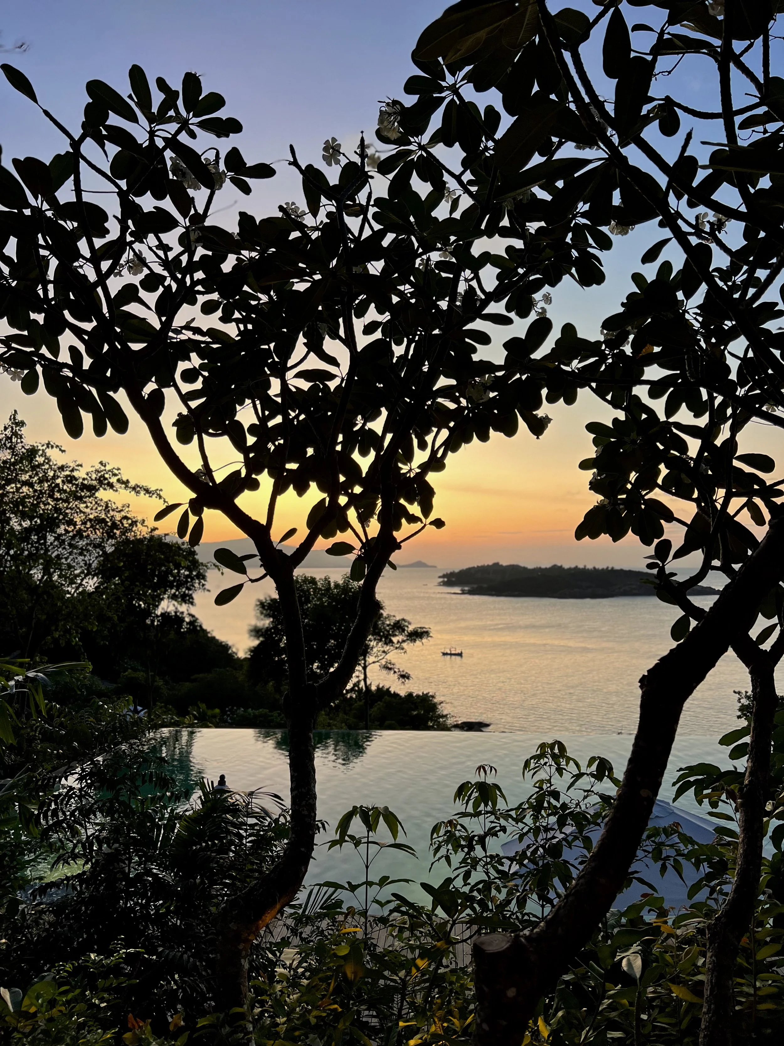 Where Luxury Meets Nature: Six Senses Koh Samui